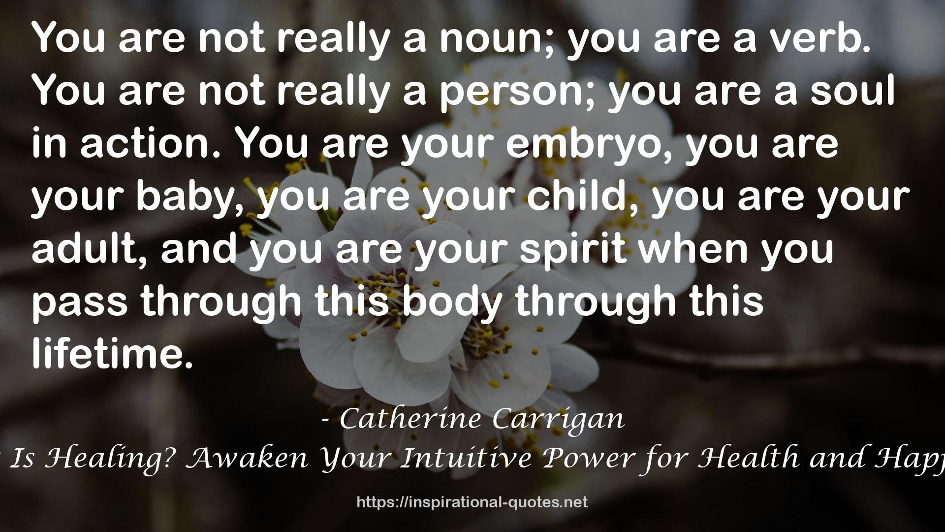 Catherine Carrigan QUOTES