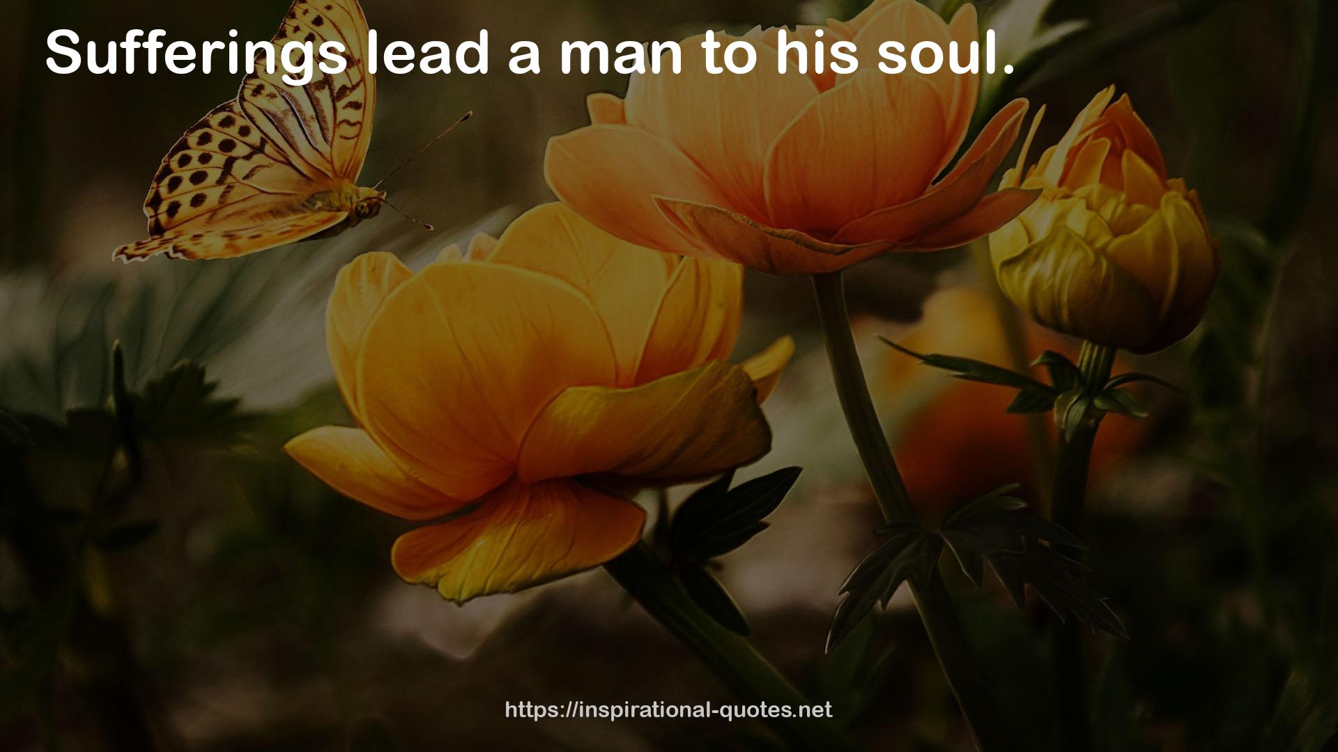 his soul  QUOTES
