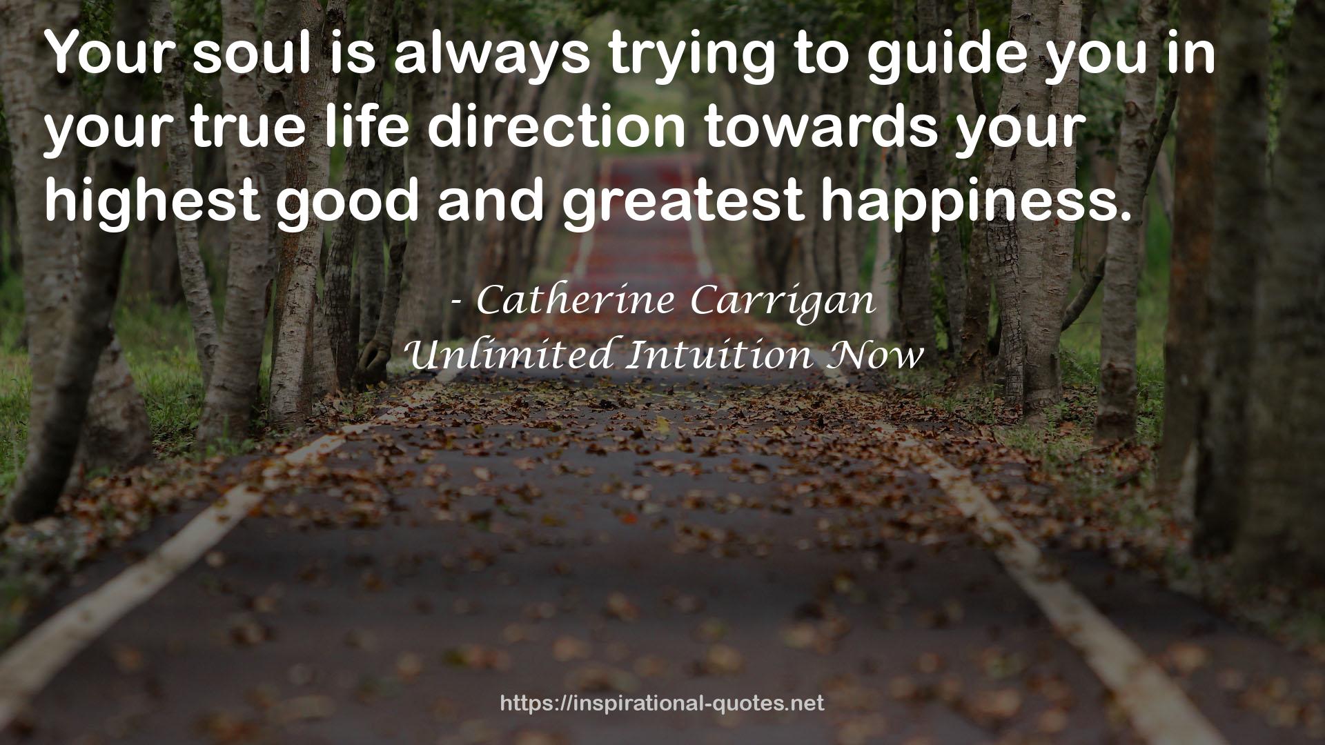 Unlimited Intuition Now QUOTES