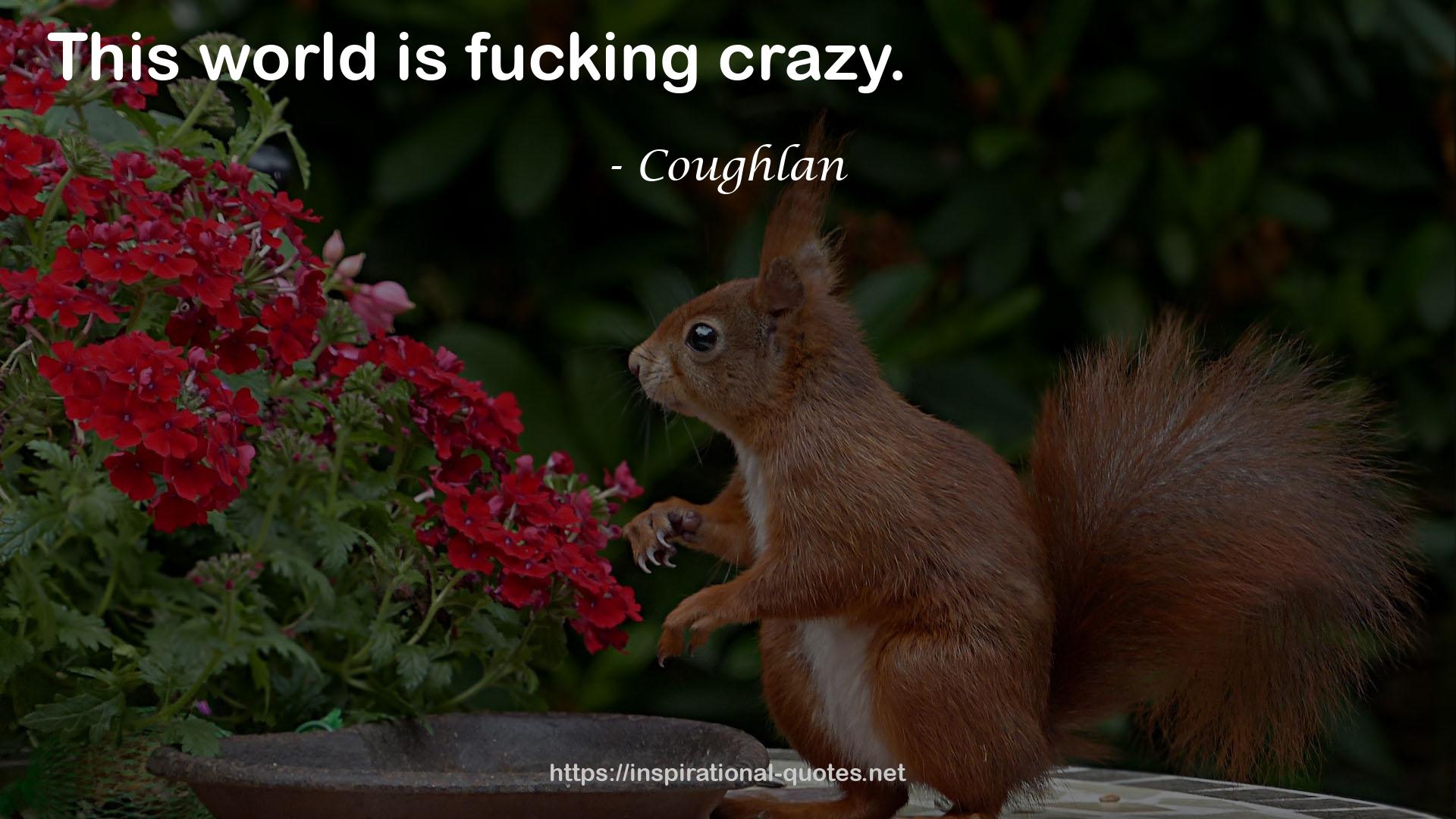 Coughlan QUOTES