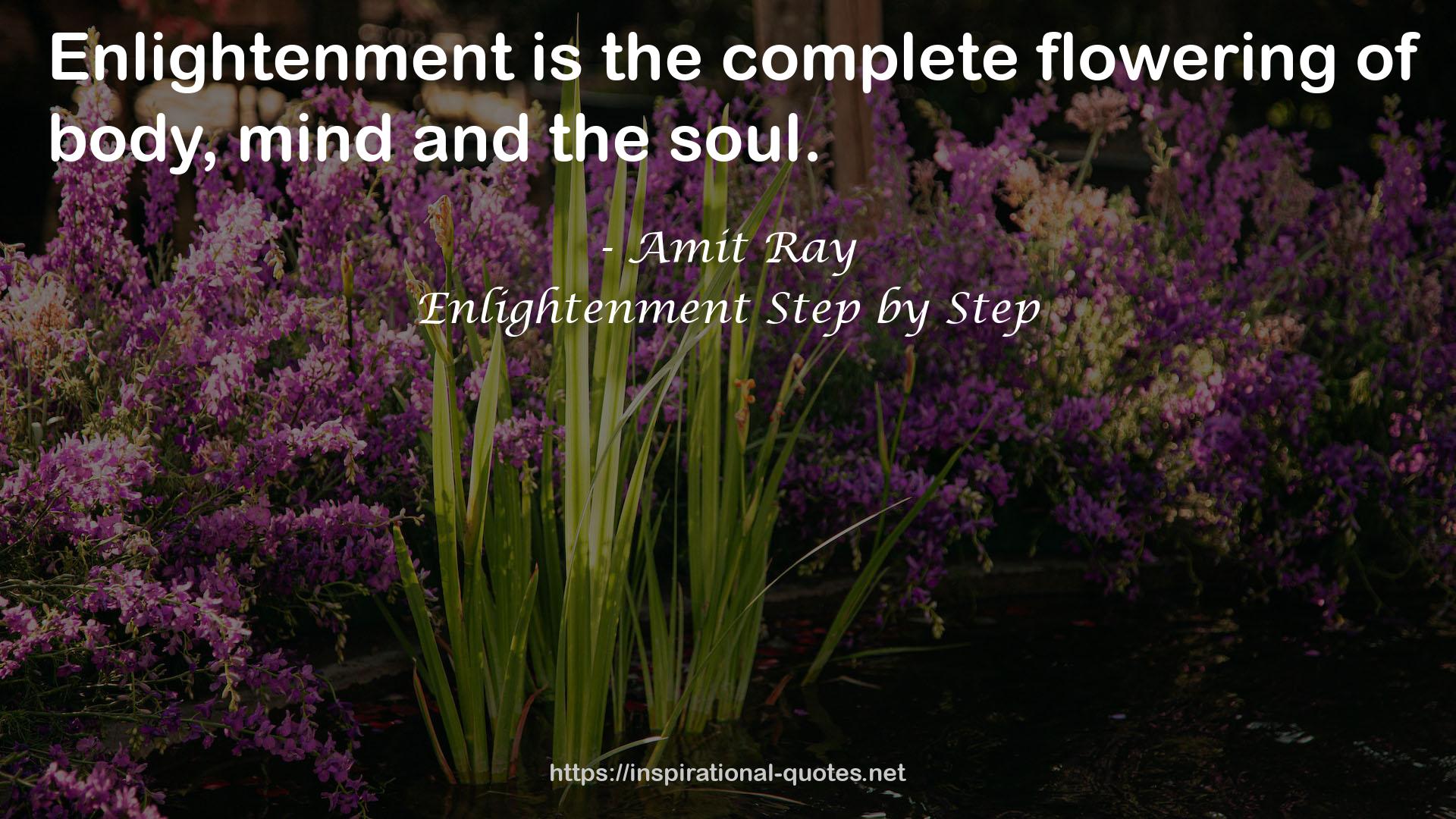 Enlightenment Step by Step QUOTES