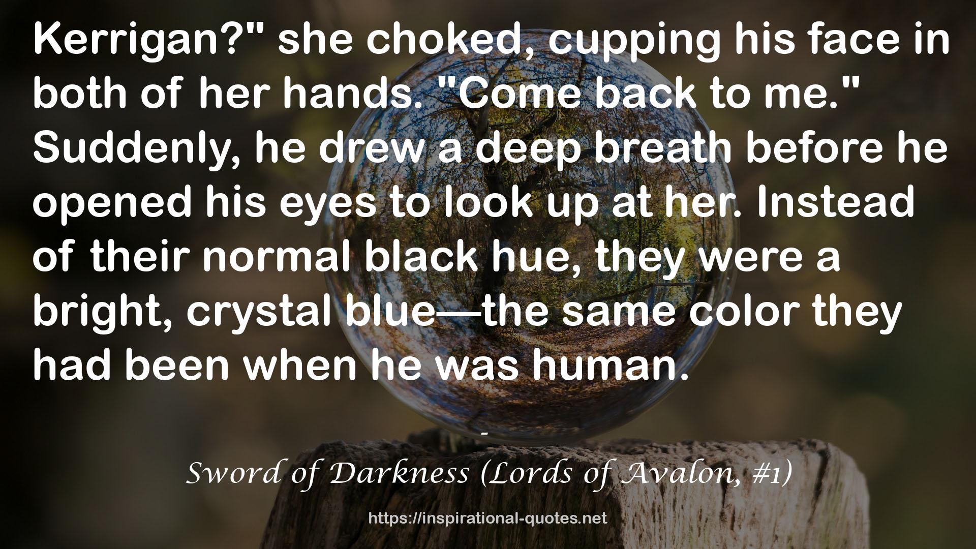 Sword of Darkness (Lords of Avalon, #1) QUOTES