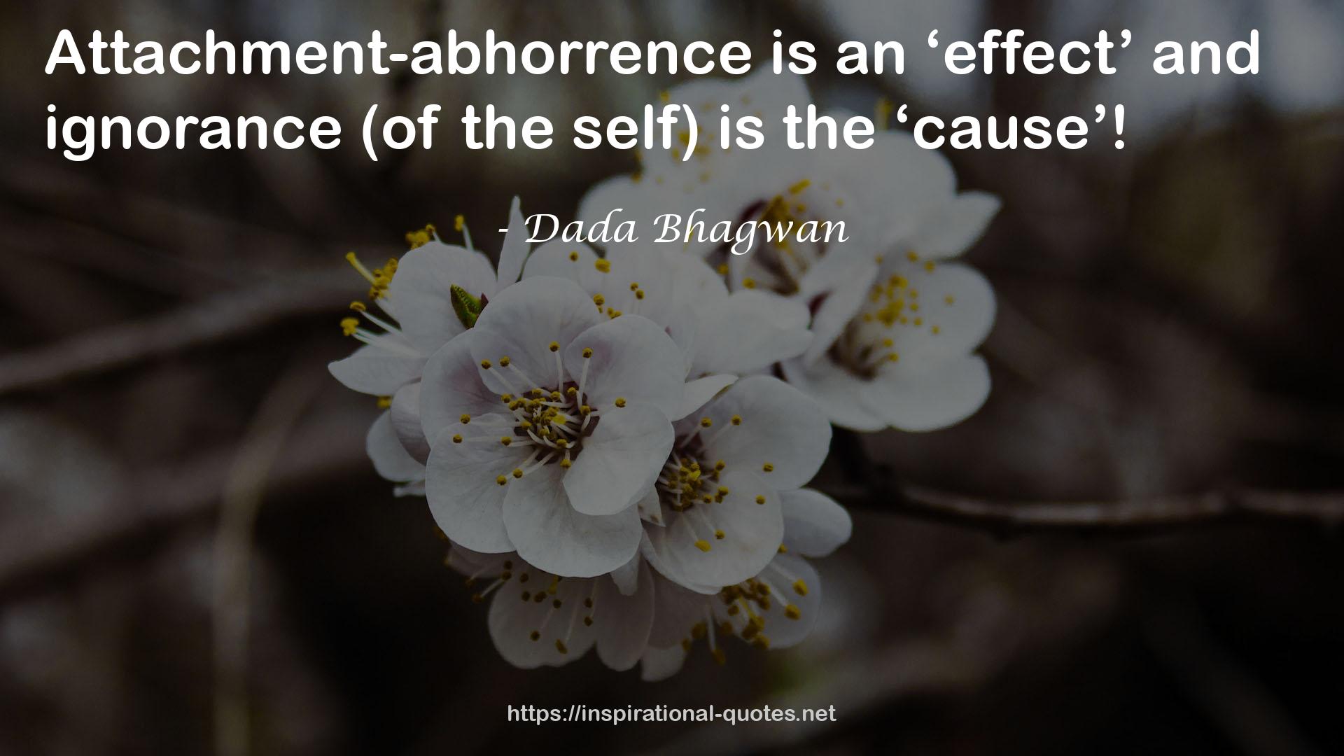 Attachment-abhorrence  QUOTES