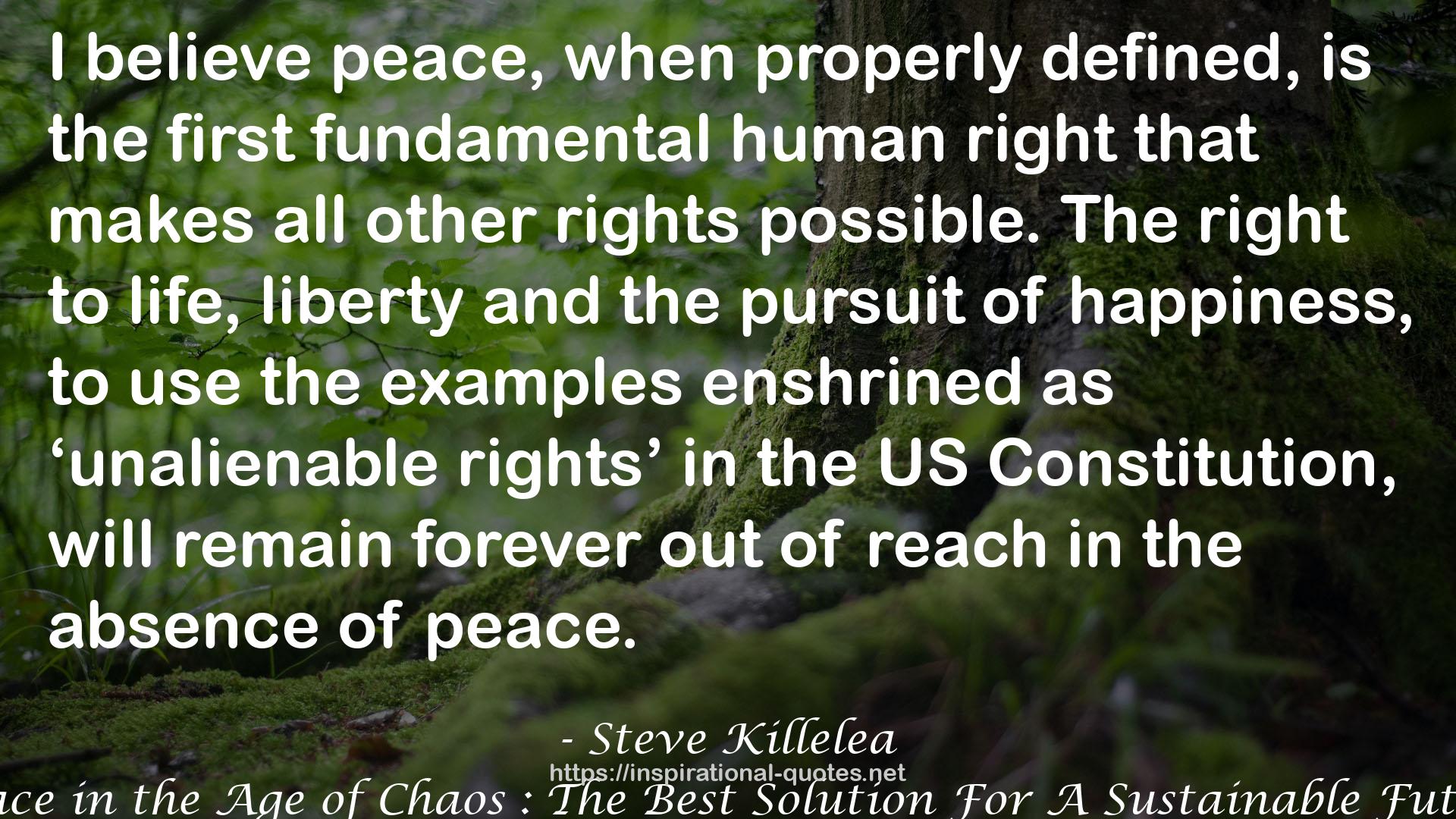 Peace in the Age of Chaos : The Best Solution For A Sustainable Future QUOTES