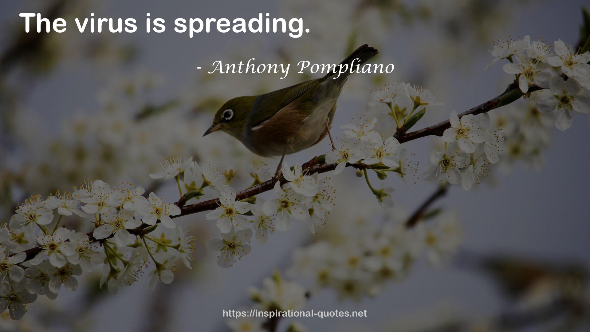 Anthony Pompliano QUOTES