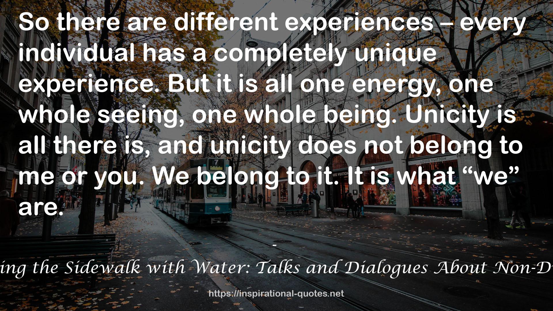 Painting the Sidewalk with Water: Talks and Dialogues About Non-Duality QUOTES