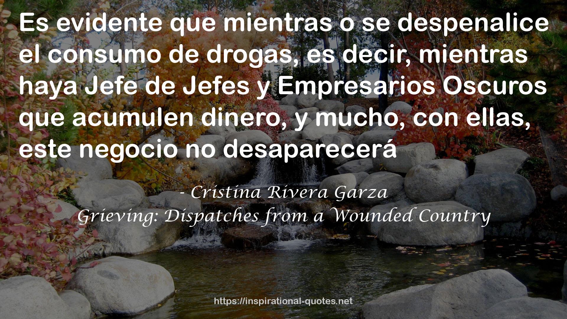Cristina Rivera Garza QUOTES