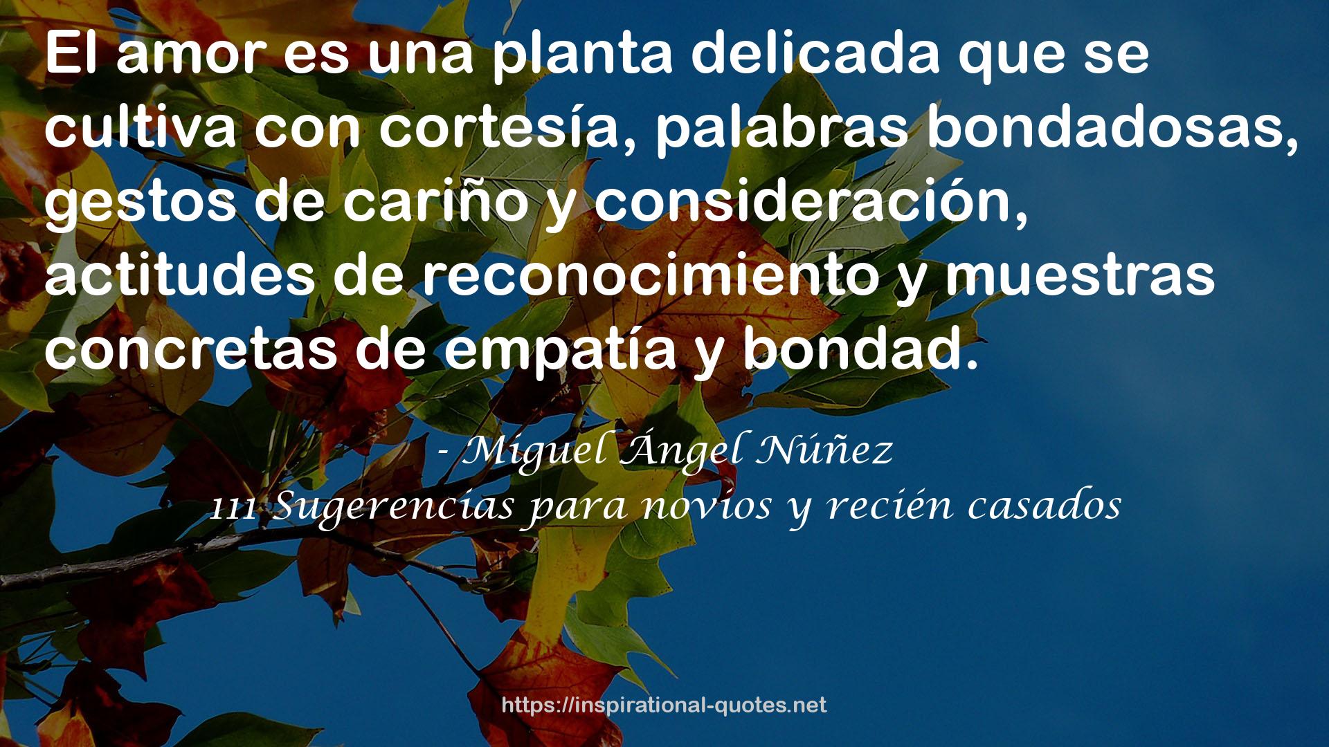 Miguel Ángel Núñez QUOTES