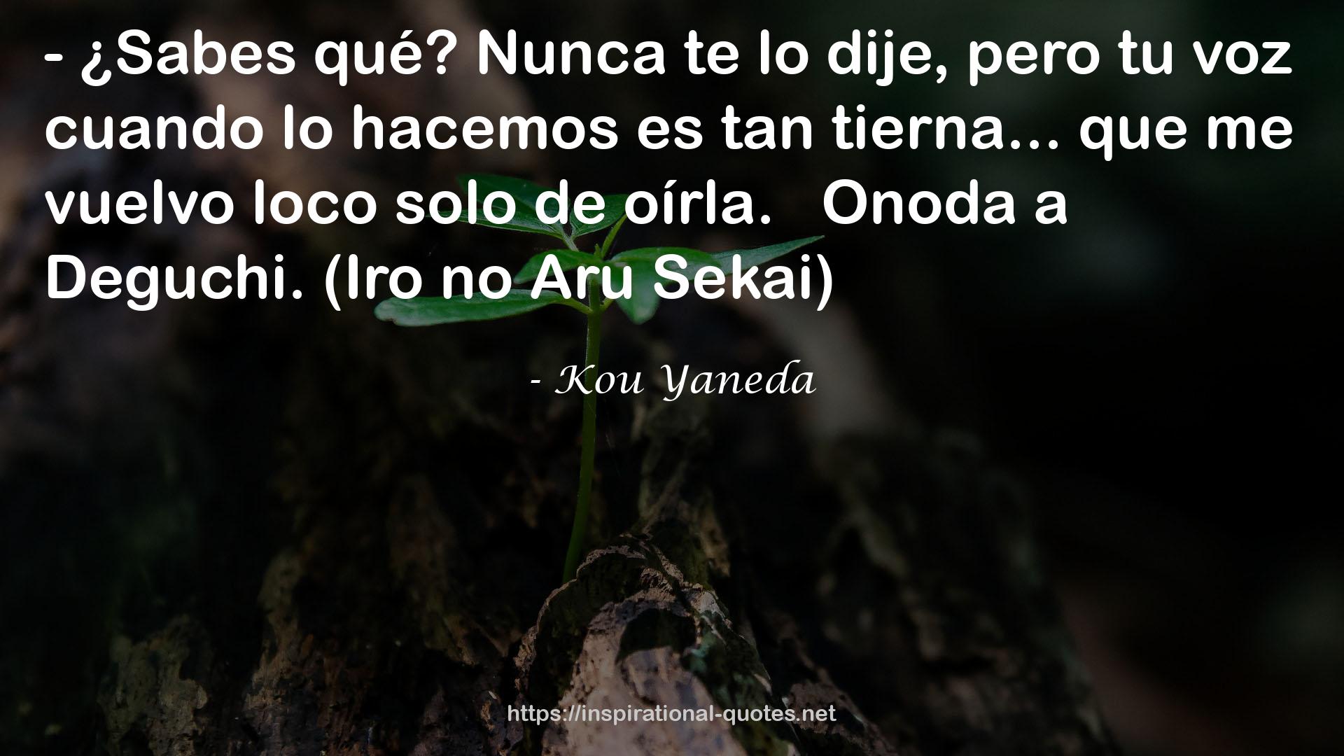 Kou Yaneda QUOTES