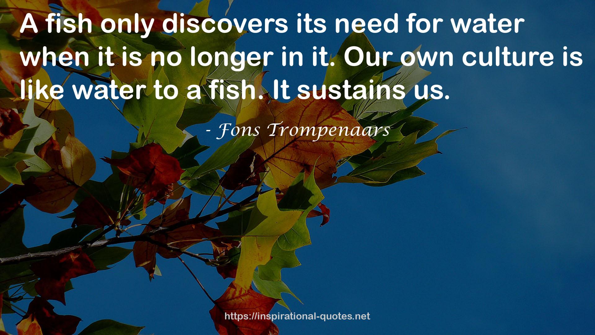 Fons Trompenaars QUOTES