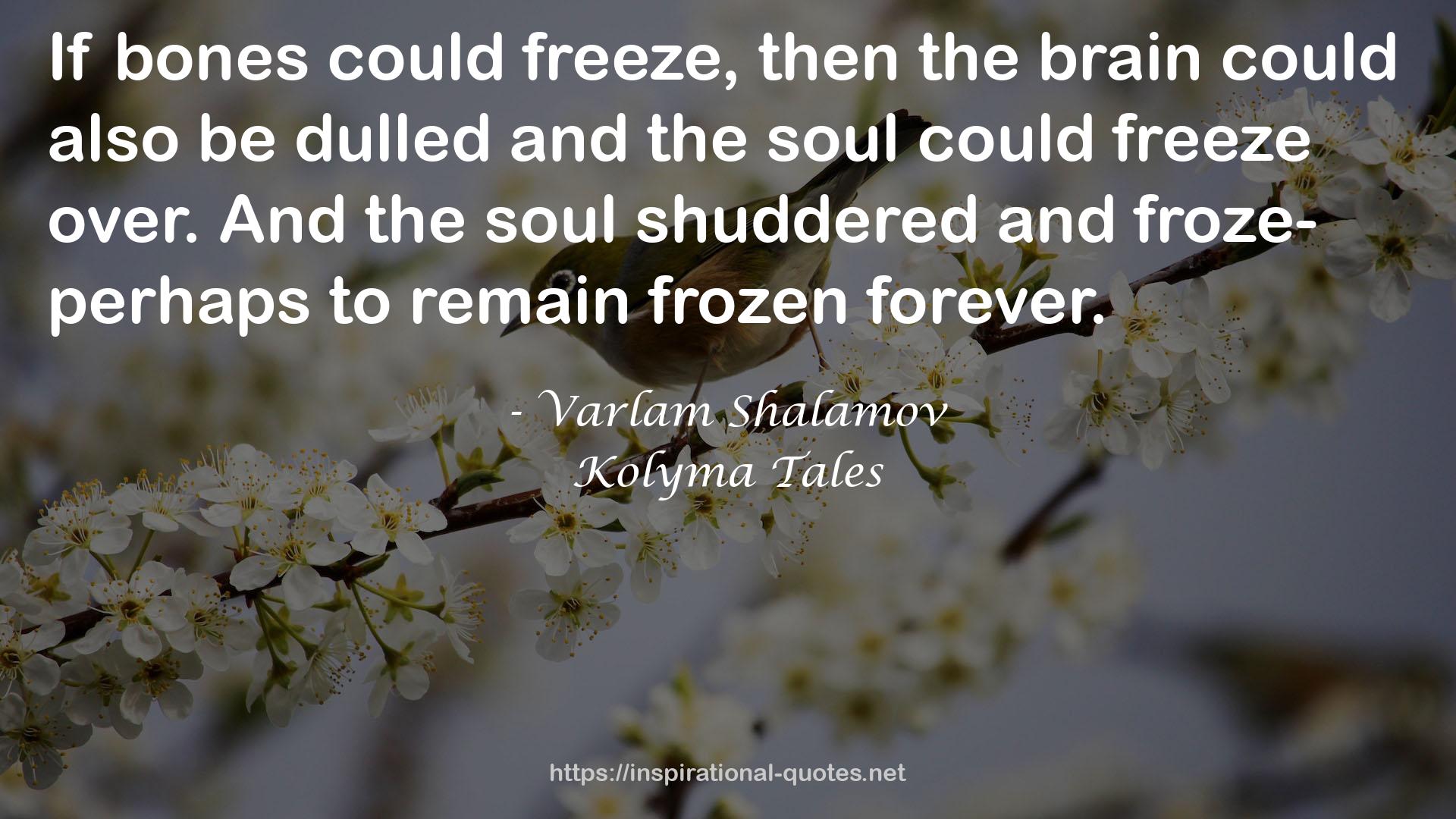 Varlam Shalamov QUOTES