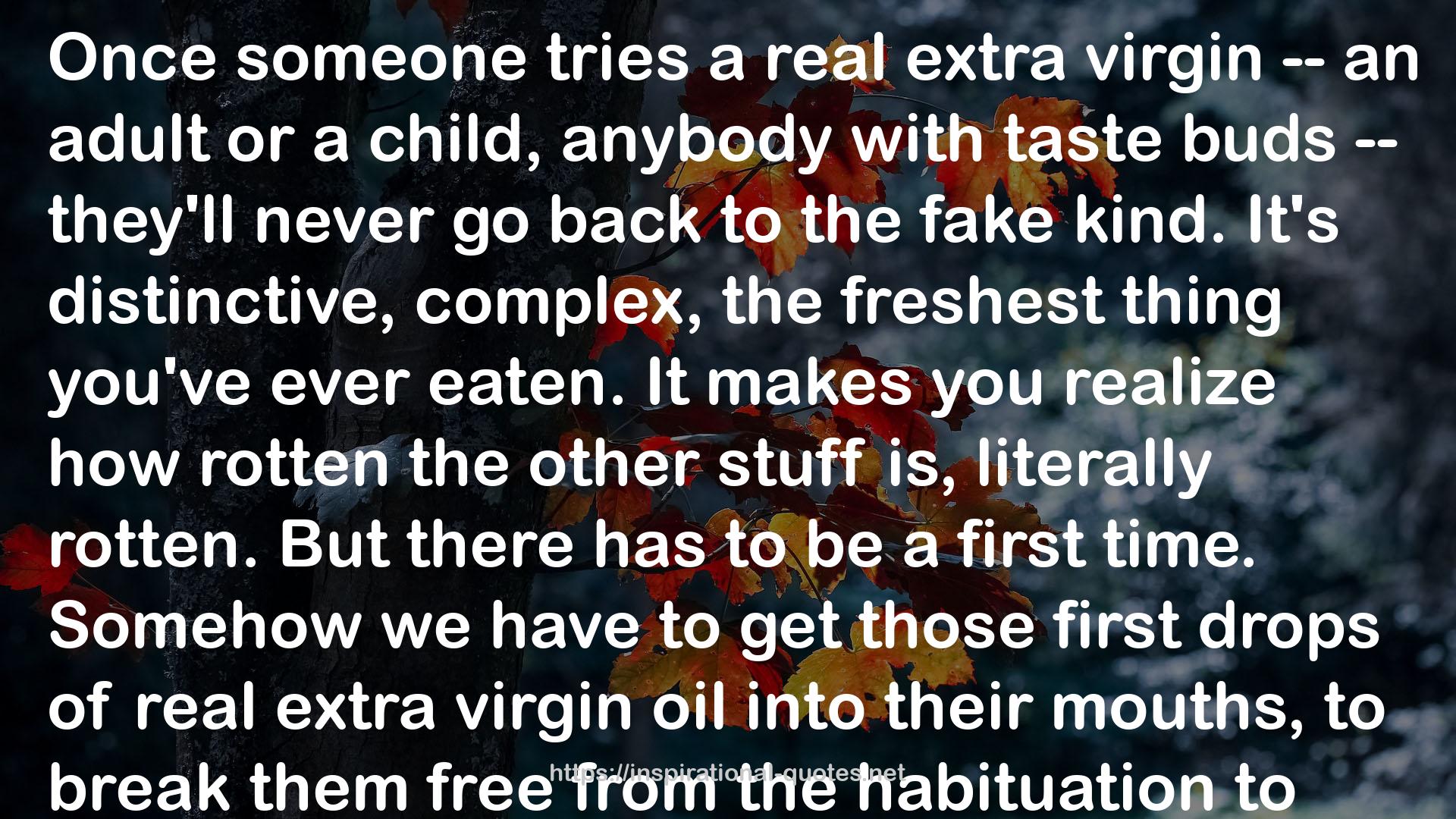 Extra Virginity: The Sublime and Scandalous World of Olive Oil QUOTES