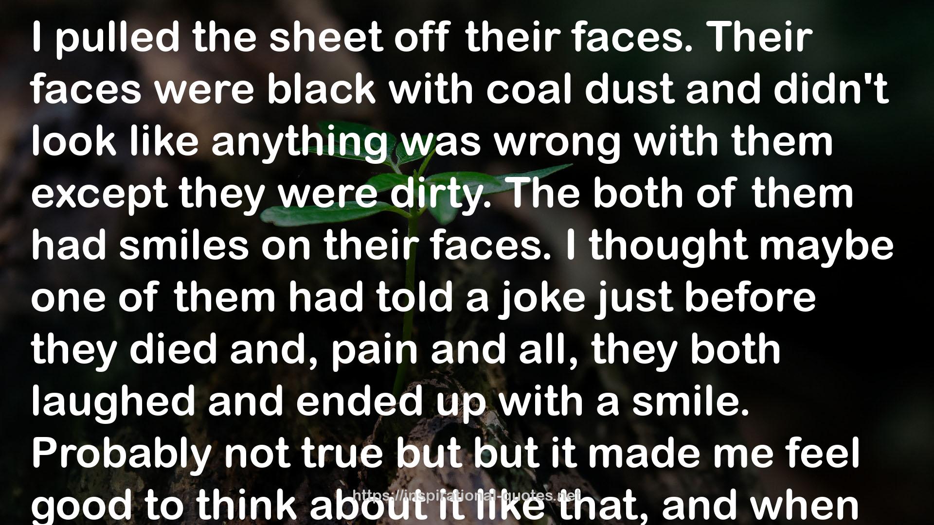 coal dust  QUOTES