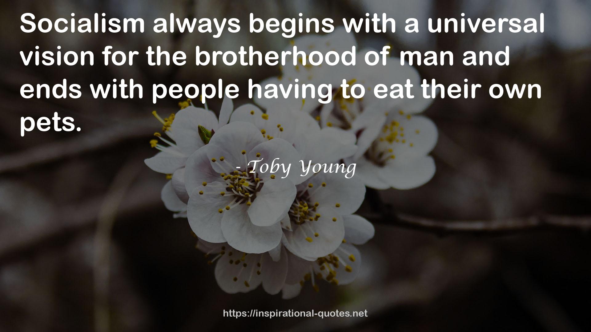 Toby Young QUOTES