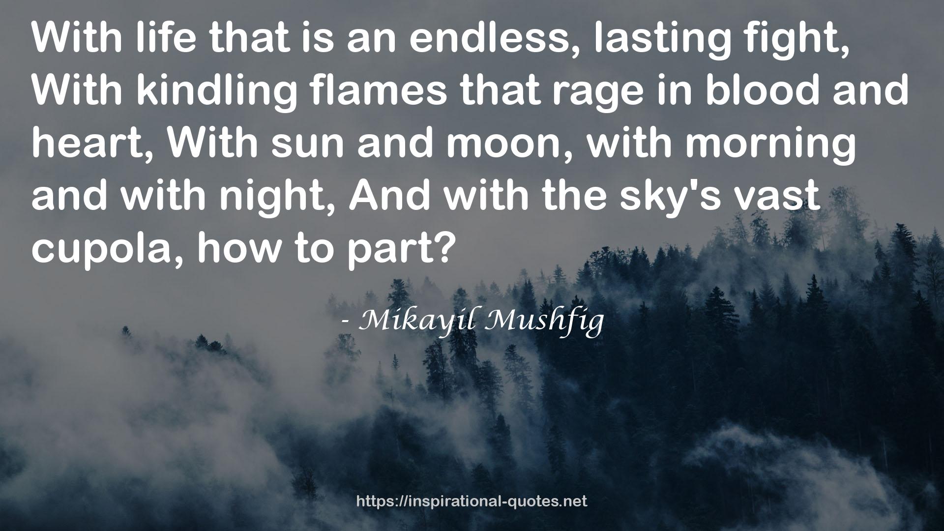 Mikayil Mushfig QUOTES