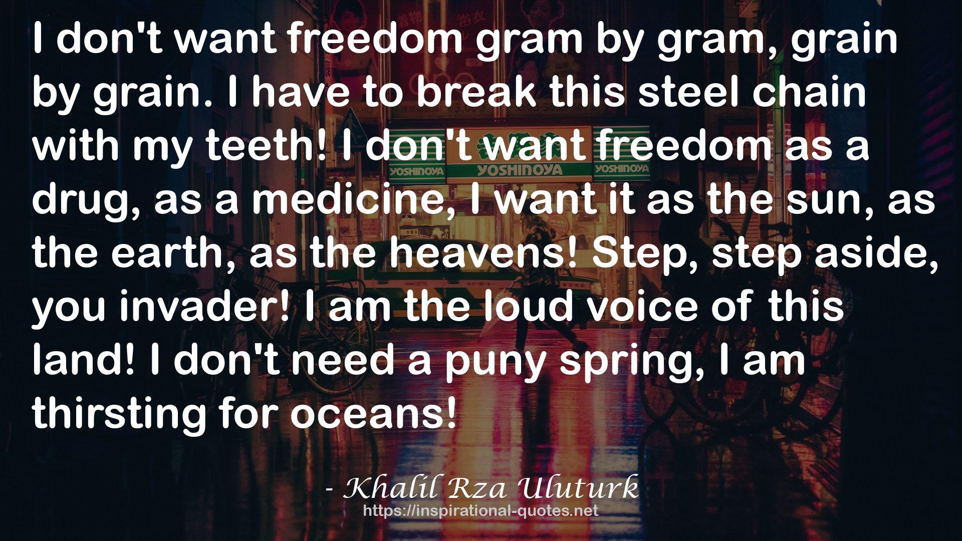 Khalil Rza Uluturk QUOTES