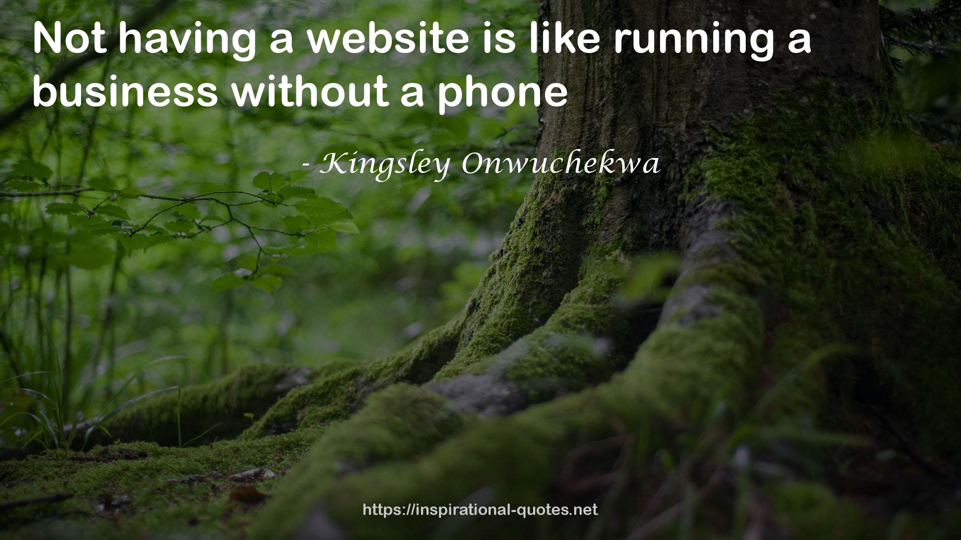 Kingsley Onwuchekwa QUOTES