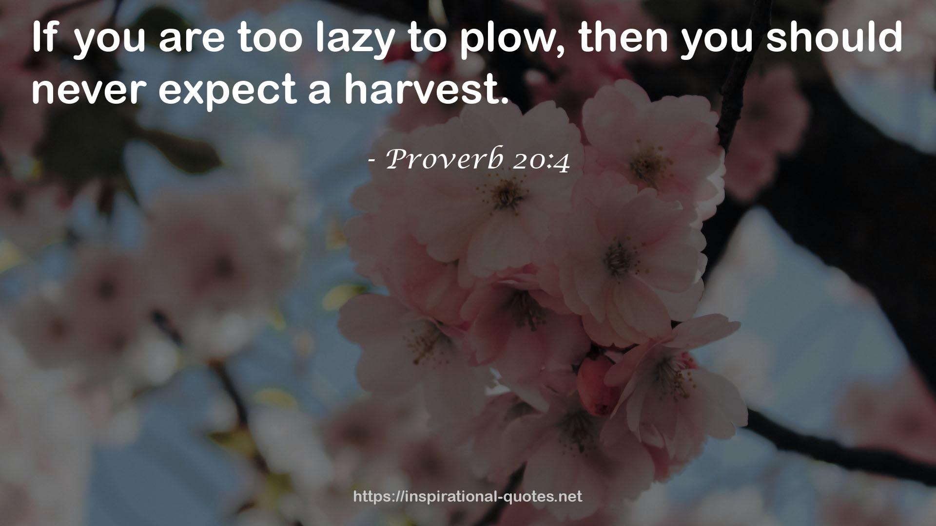 Proverb 20:4 QUOTES