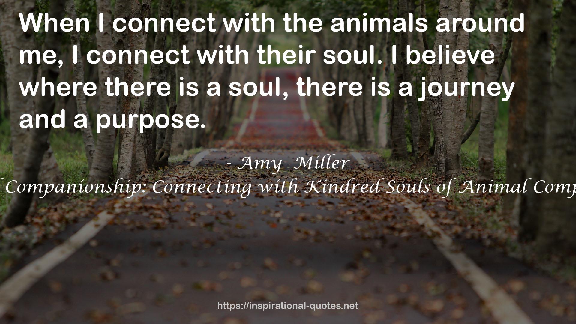 Amy  Miller QUOTES