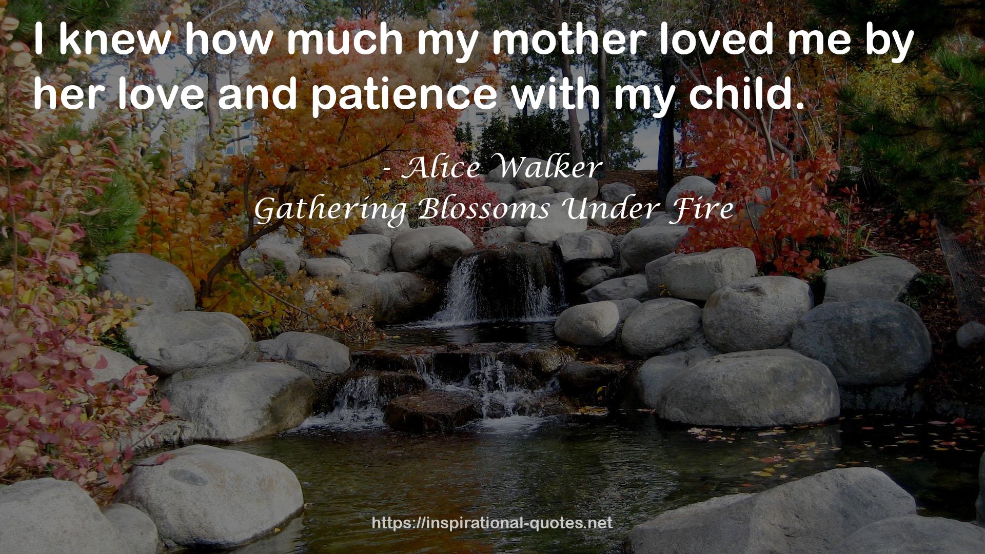 Gathering Blossoms Under Fire QUOTES