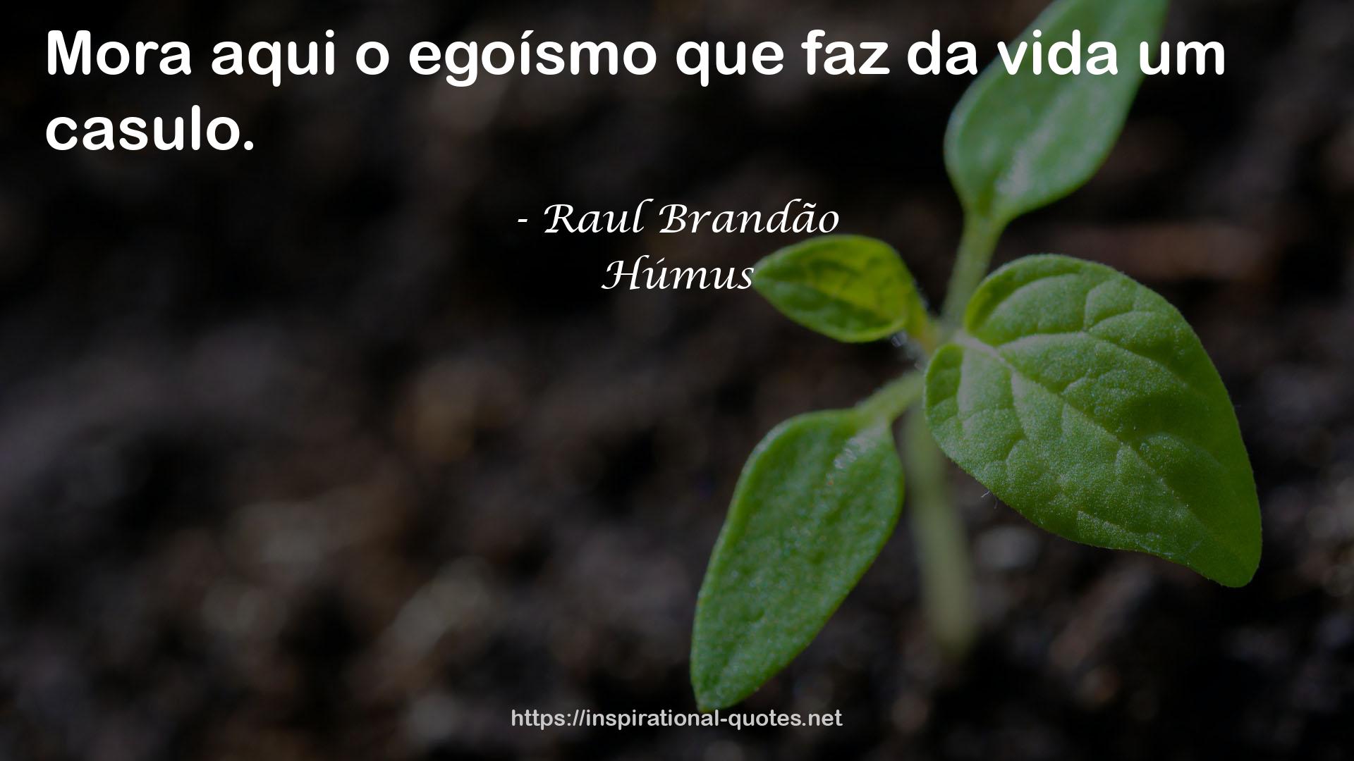 Raul Brandão QUOTES