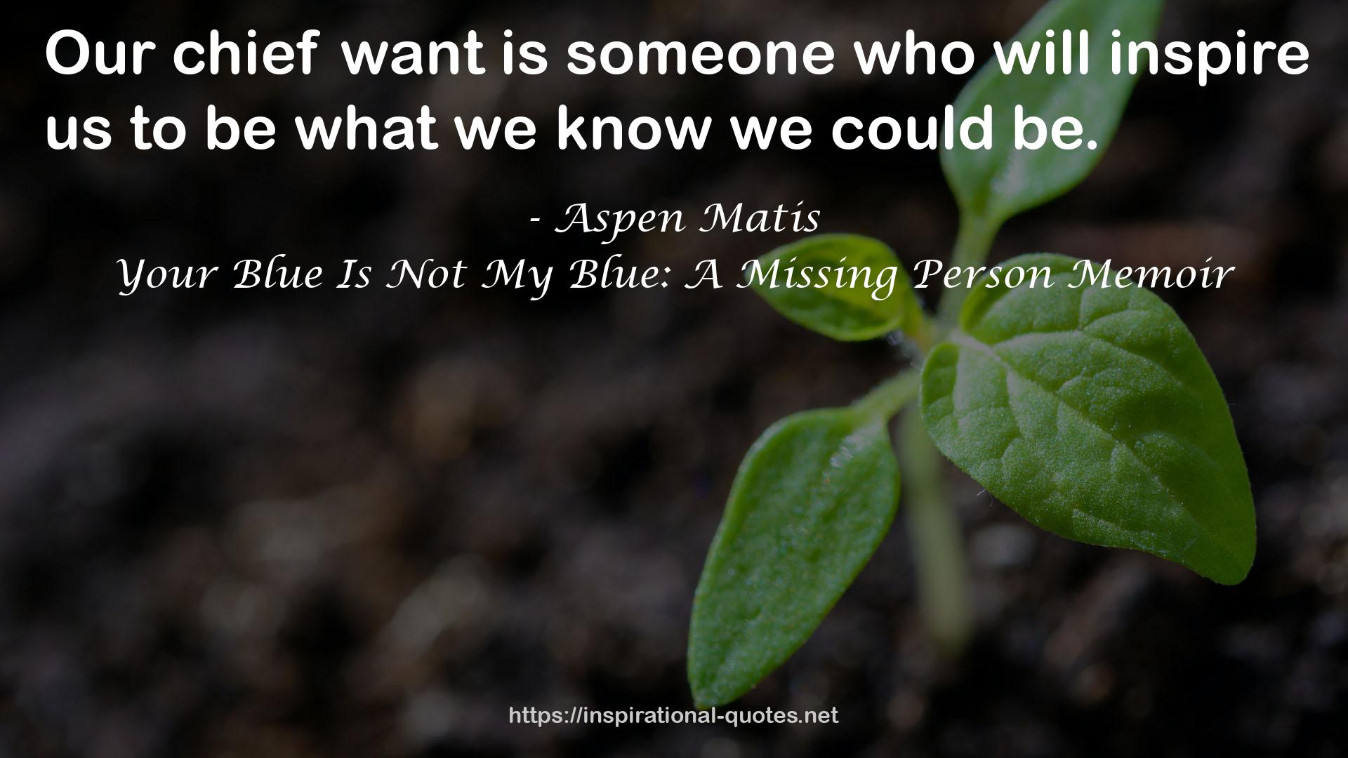 Your Blue Is Not My Blue: A Missing Person Memoir QUOTES