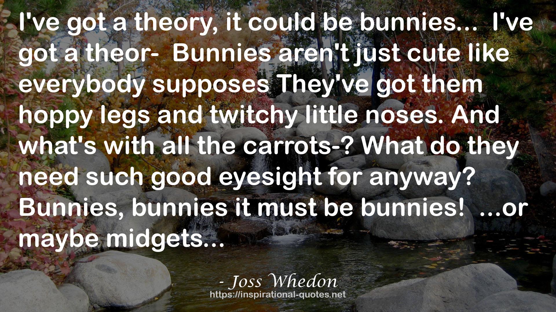 a theor-Bunnies  QUOTES
