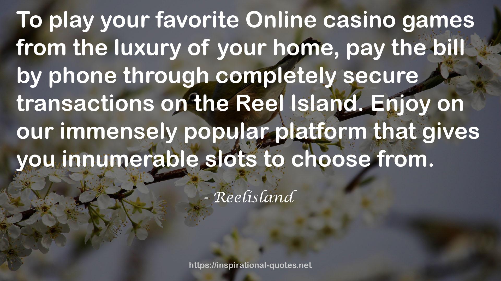 Reelisland QUOTES