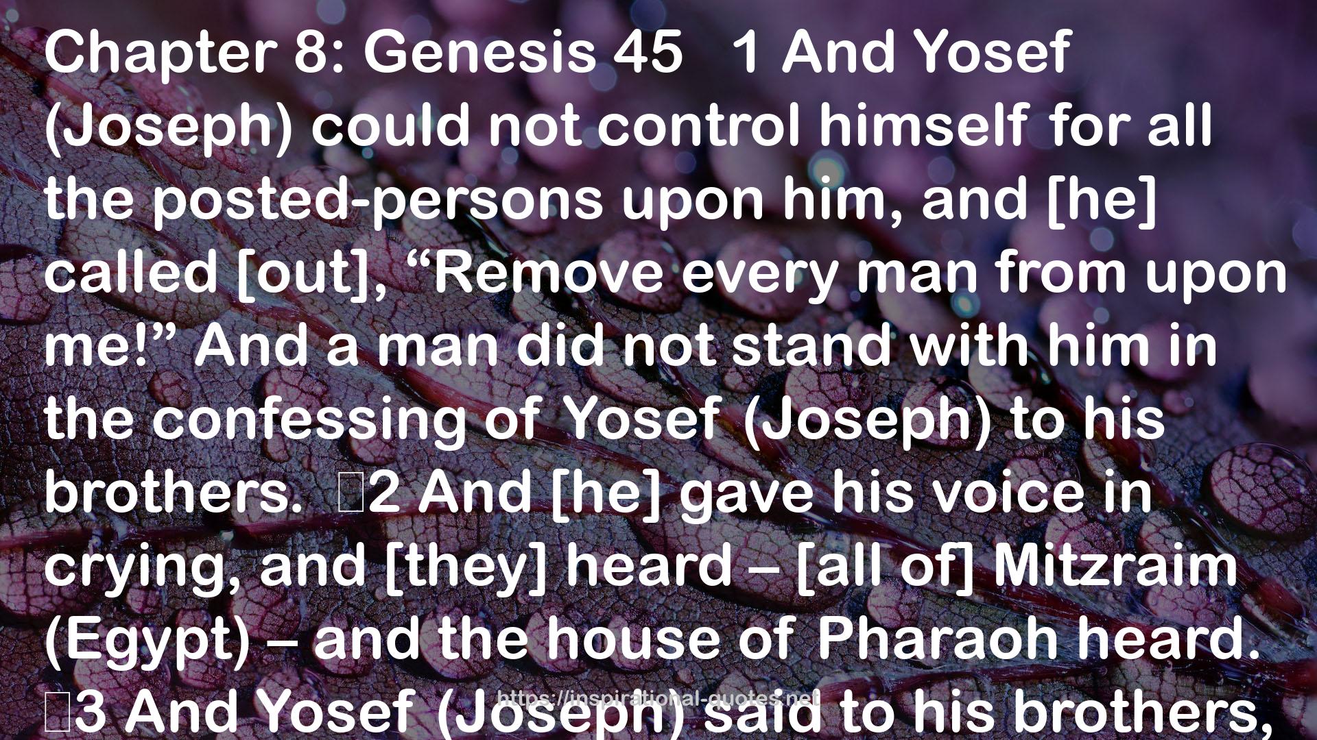 Yosef:  The Story of Joseph (Azariah Bible Translation) QUOTES