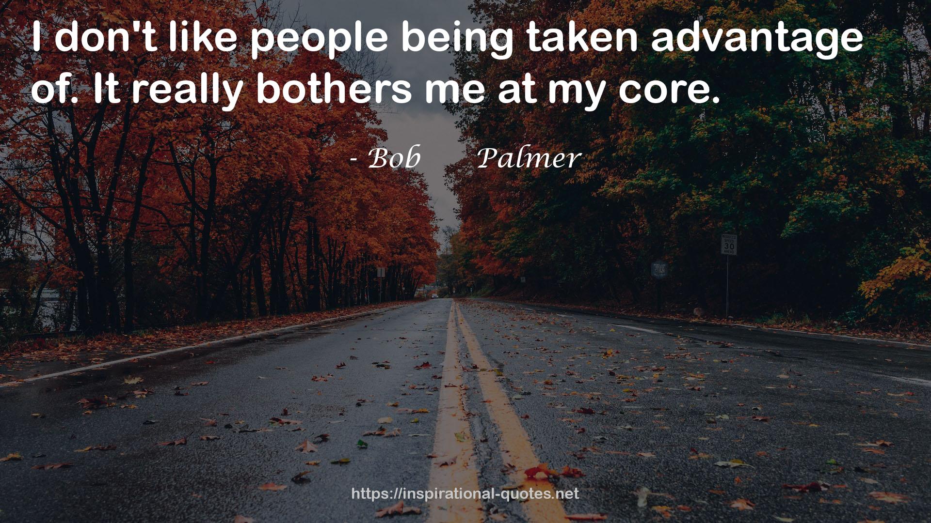 Bob      Palmer QUOTES