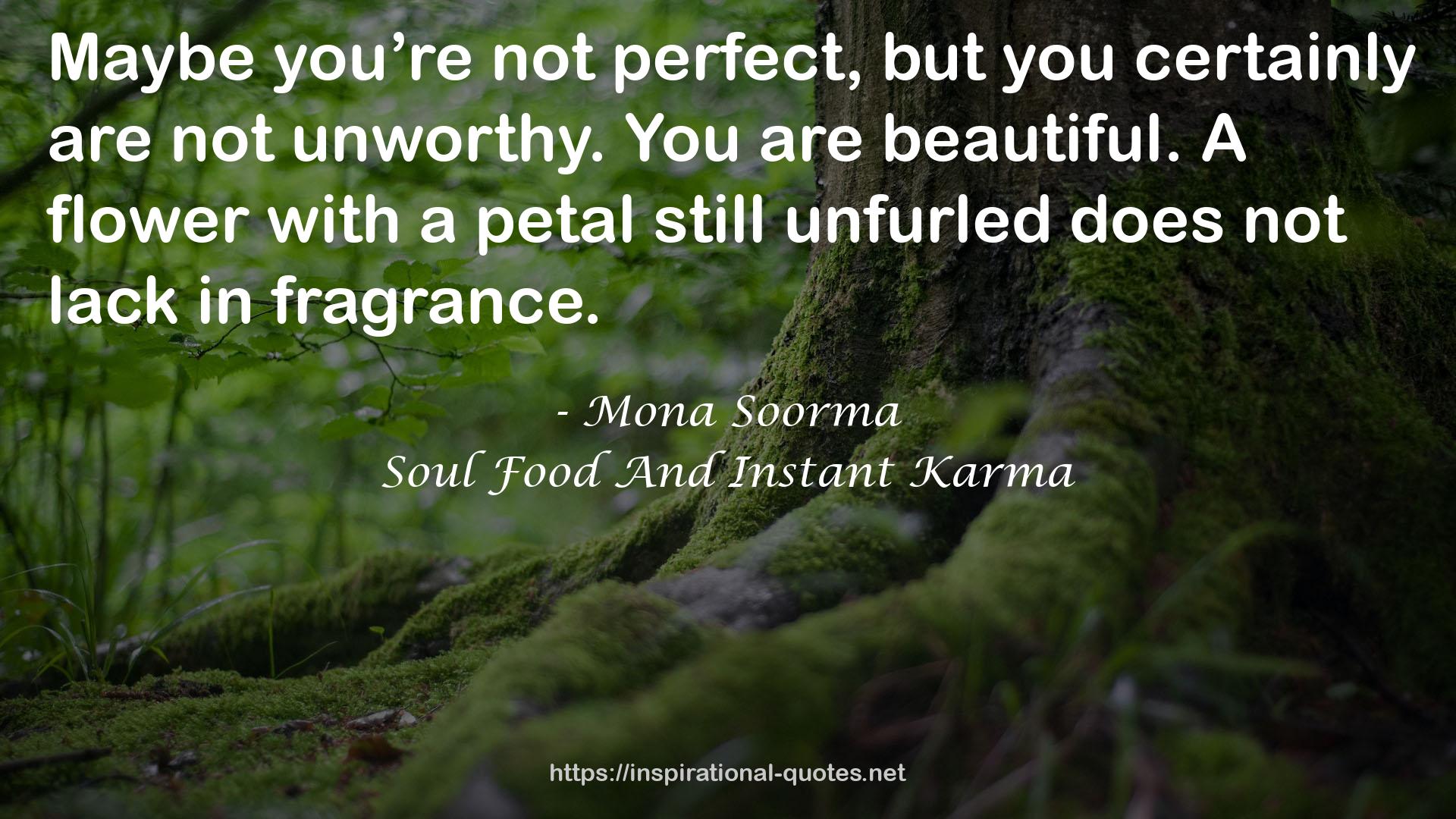 Soul Food And Instant Karma QUOTES