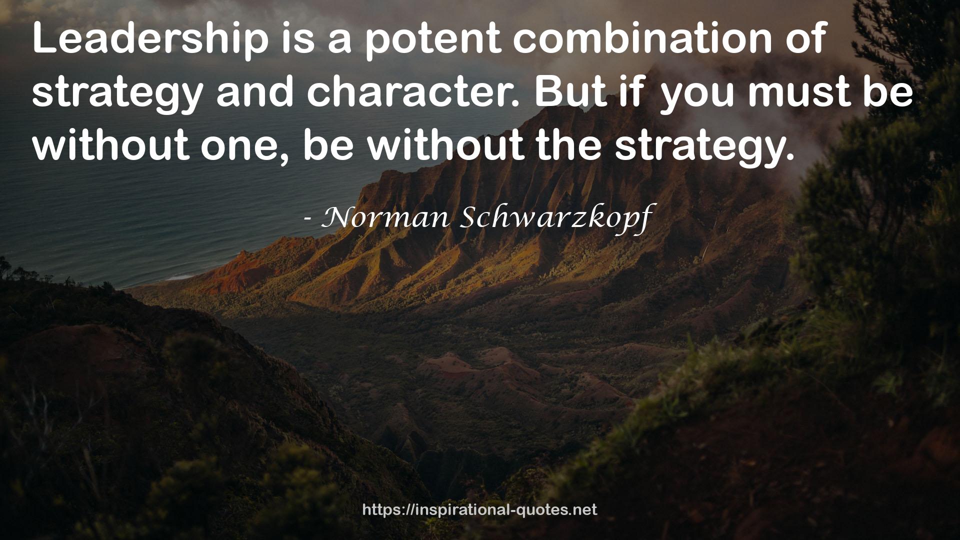 Norman Schwarzkopf QUOTES