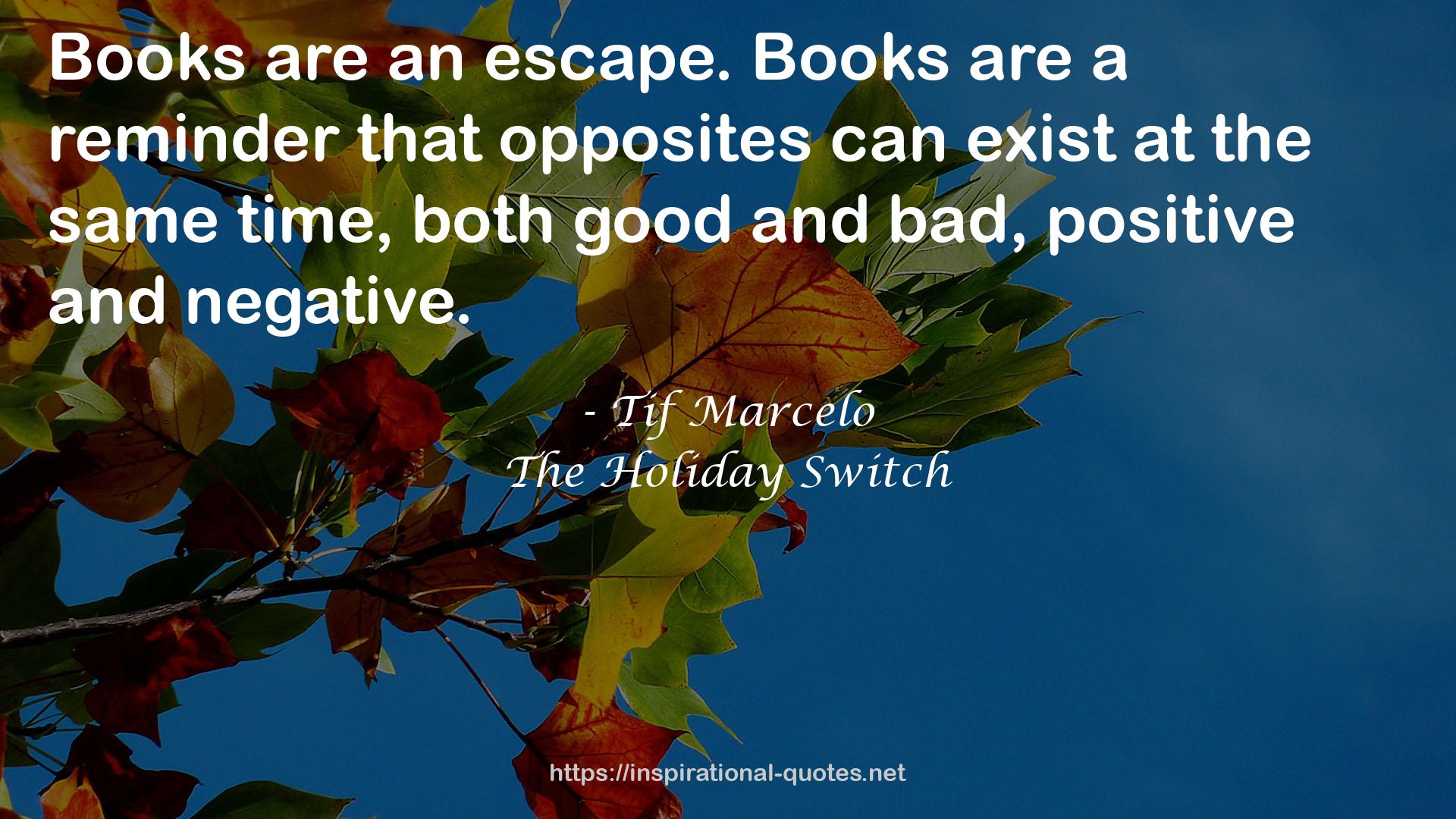 The Holiday Switch QUOTES