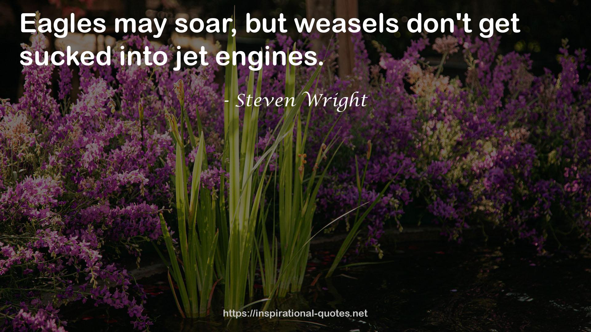 Steven Wright QUOTES