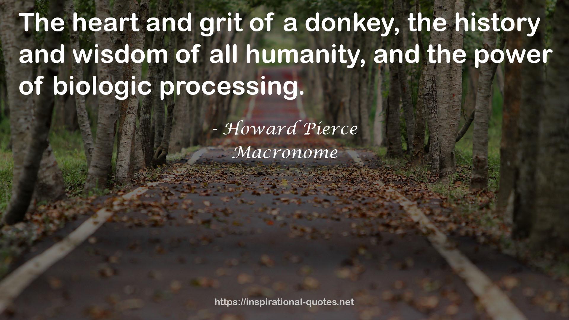 Macronome QUOTES