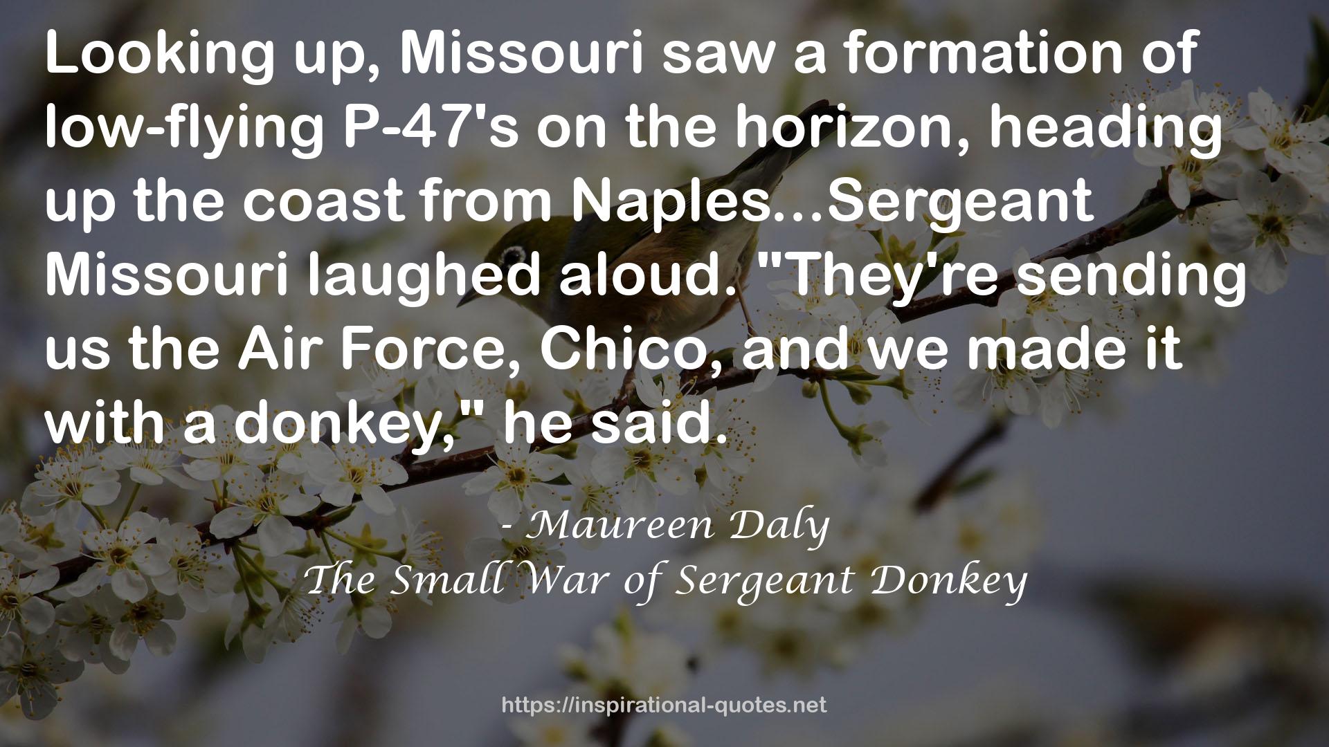 The Small War of Sergeant Donkey QUOTES