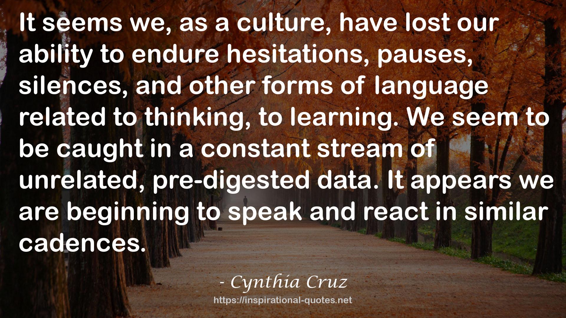 Cynthia Cruz QUOTES