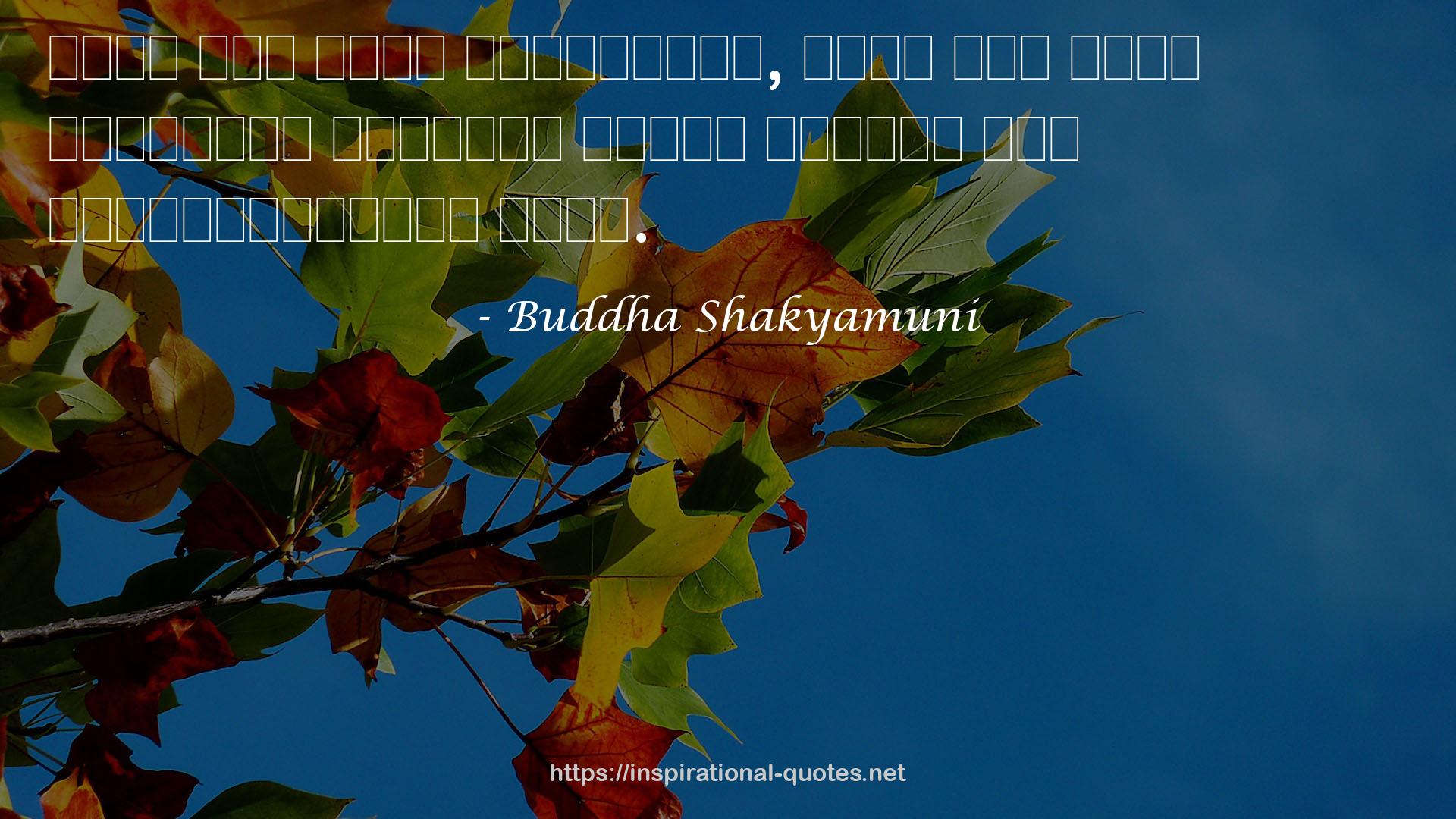 Buddha Shakyamuni QUOTES