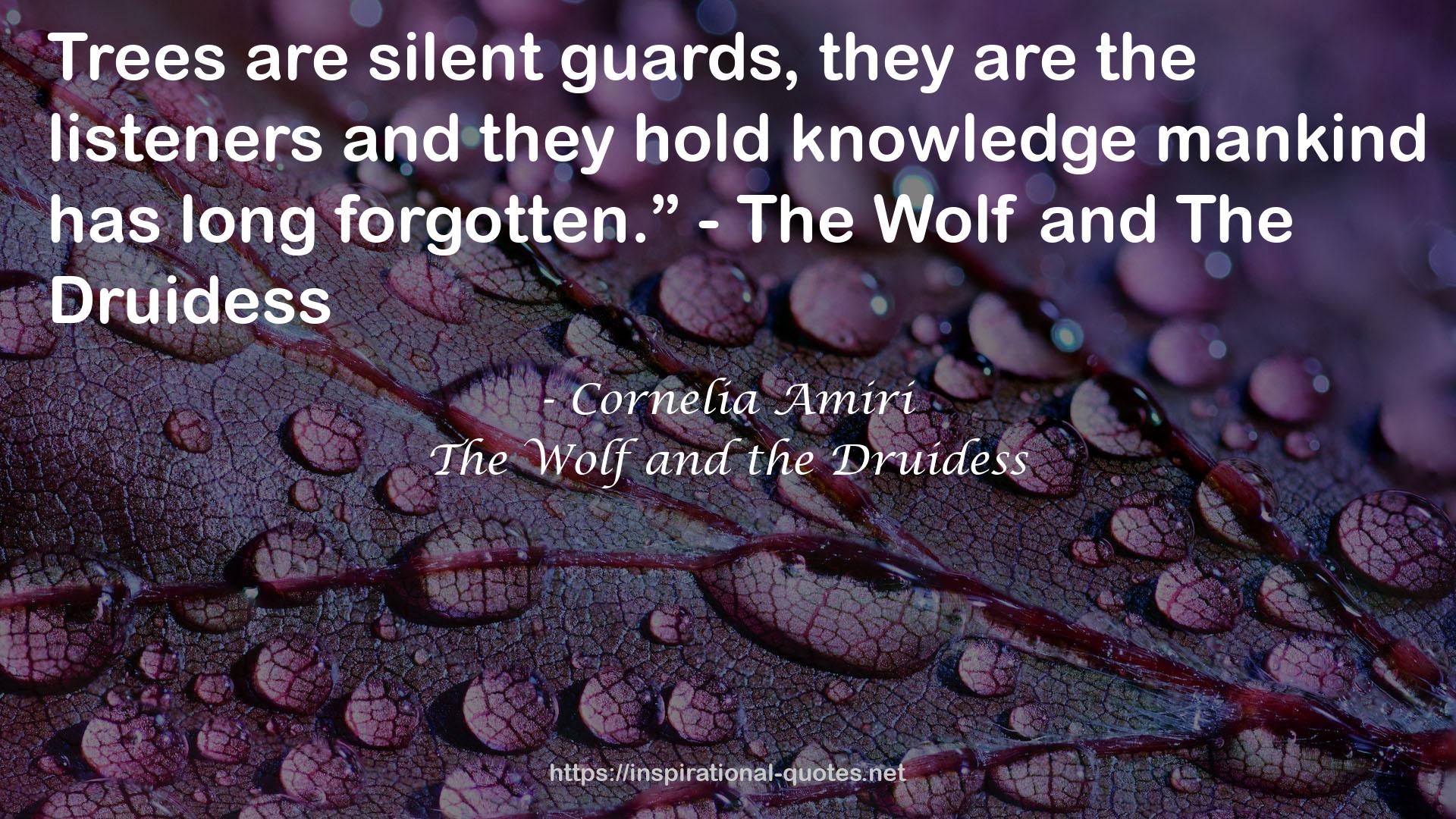 Cornelia Amiri QUOTES