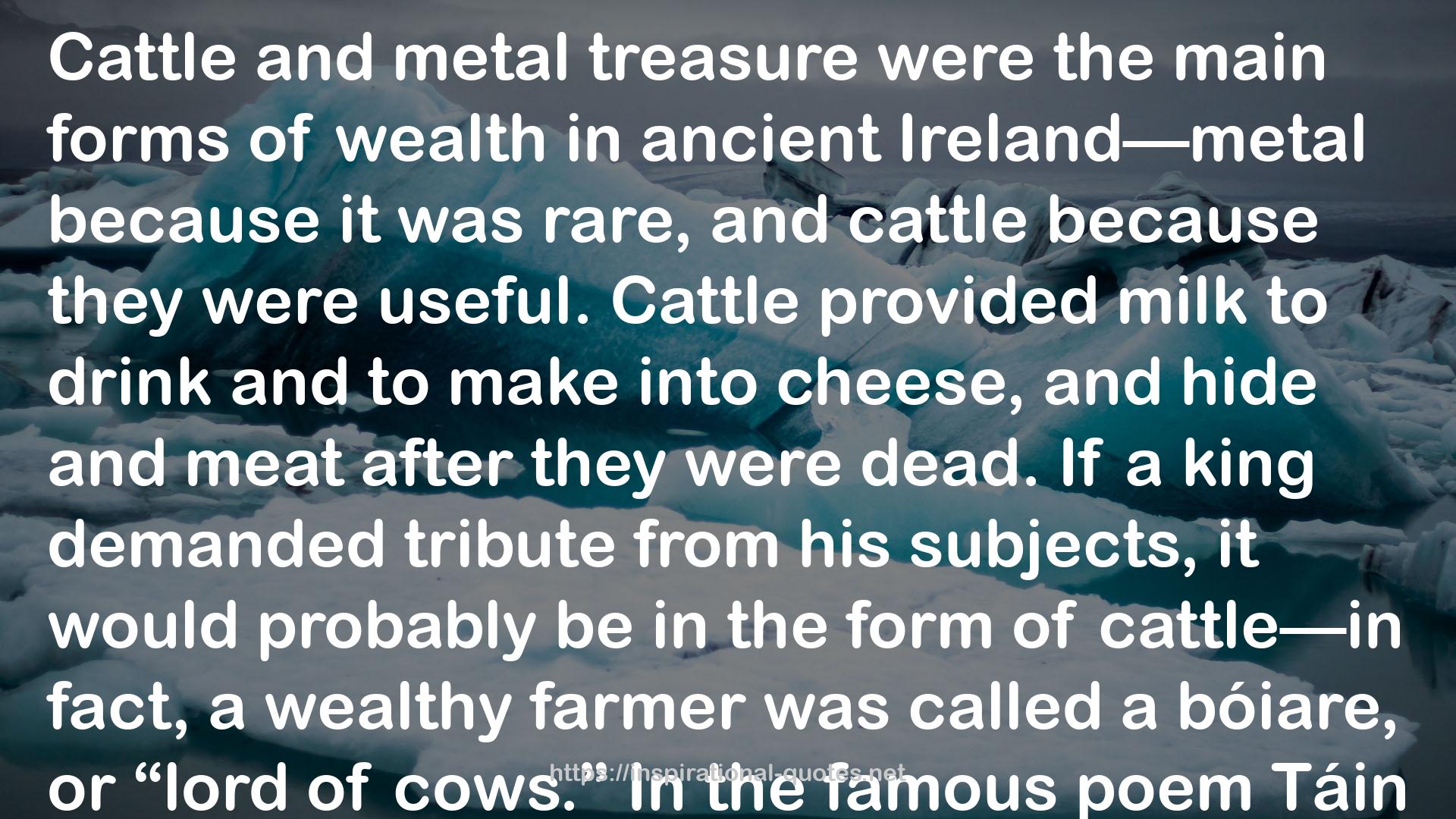 101 Things You Didn't Know About Irish History: The People, Places, Culture, and Tradition of the Emerald Isle (101 Things You Didnt Know Abt) QUOTES