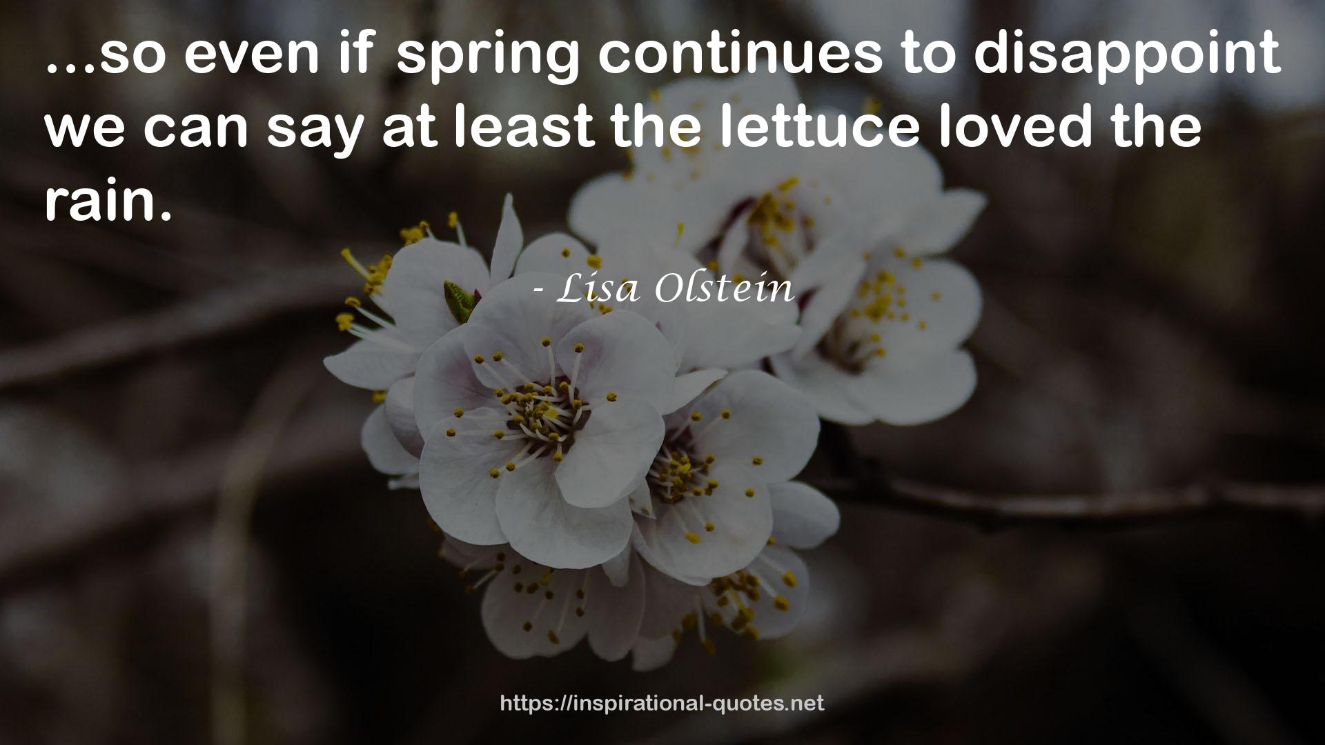 Lisa Olstein QUOTES