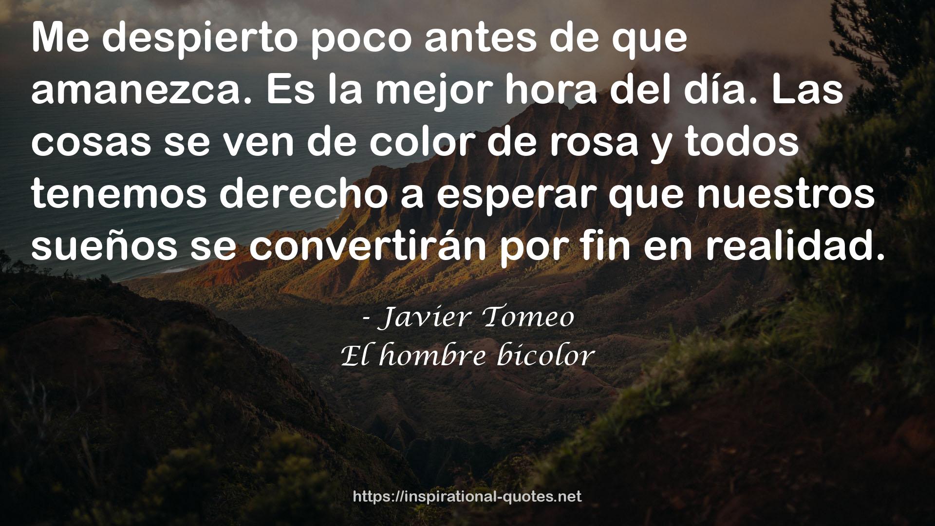 Javier Tomeo QUOTES