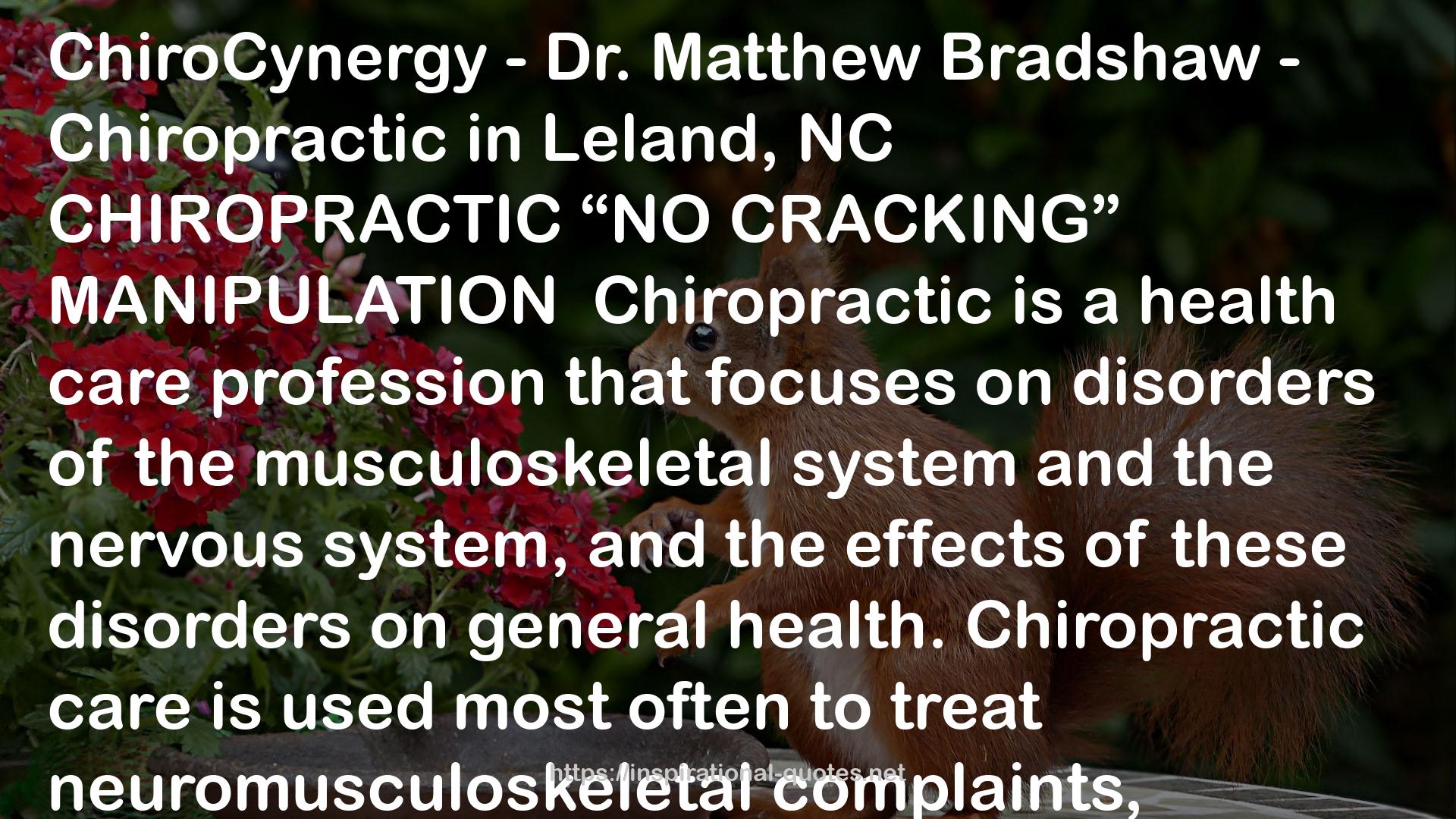 Dr. Matthew Bradshaw QUOTES