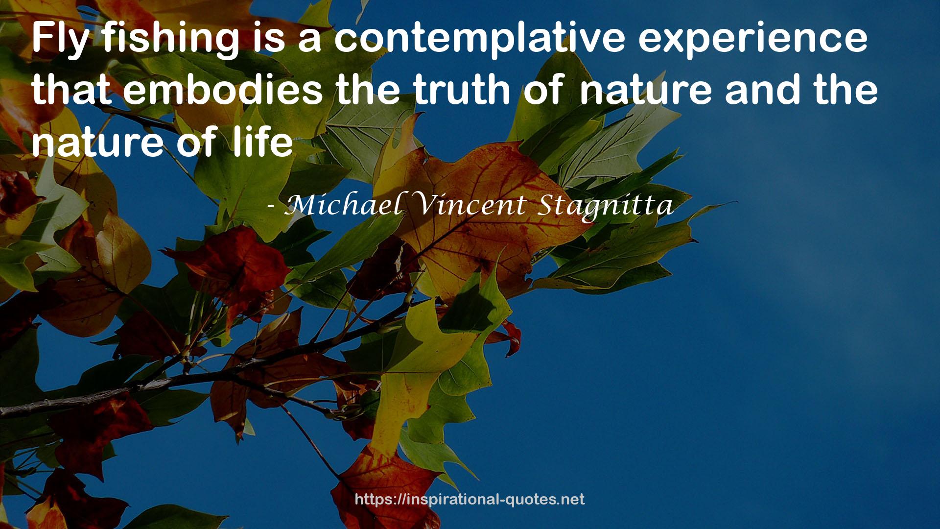 Michael Vincent Stagnitta QUOTES