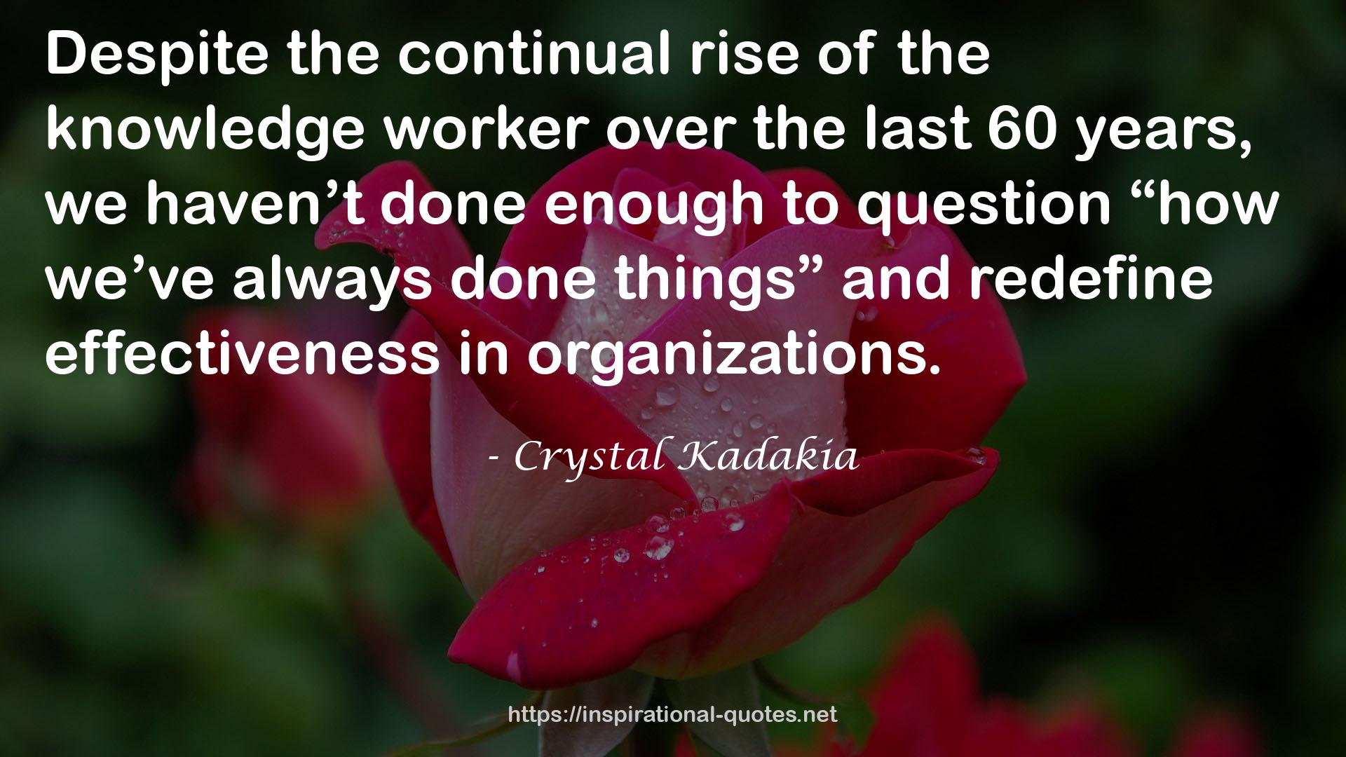 the knowledge worker  QUOTES