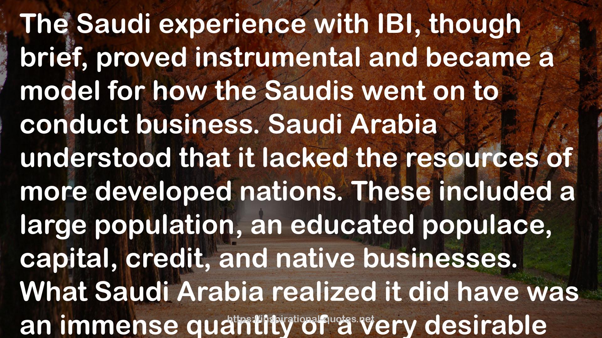 Saudi, Inc.: The Arabian Kingdom's Pursuit of Profit and Power QUOTES
