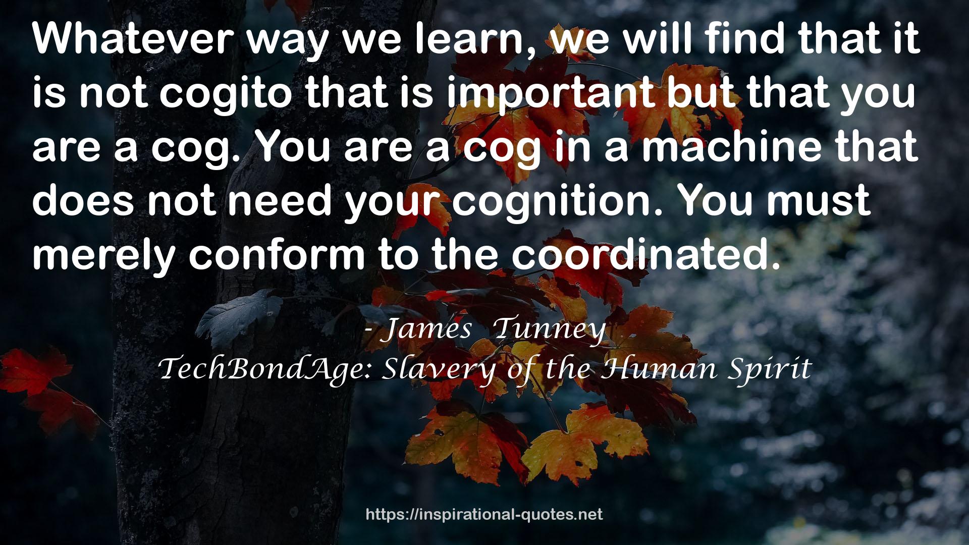 James  Tunney QUOTES