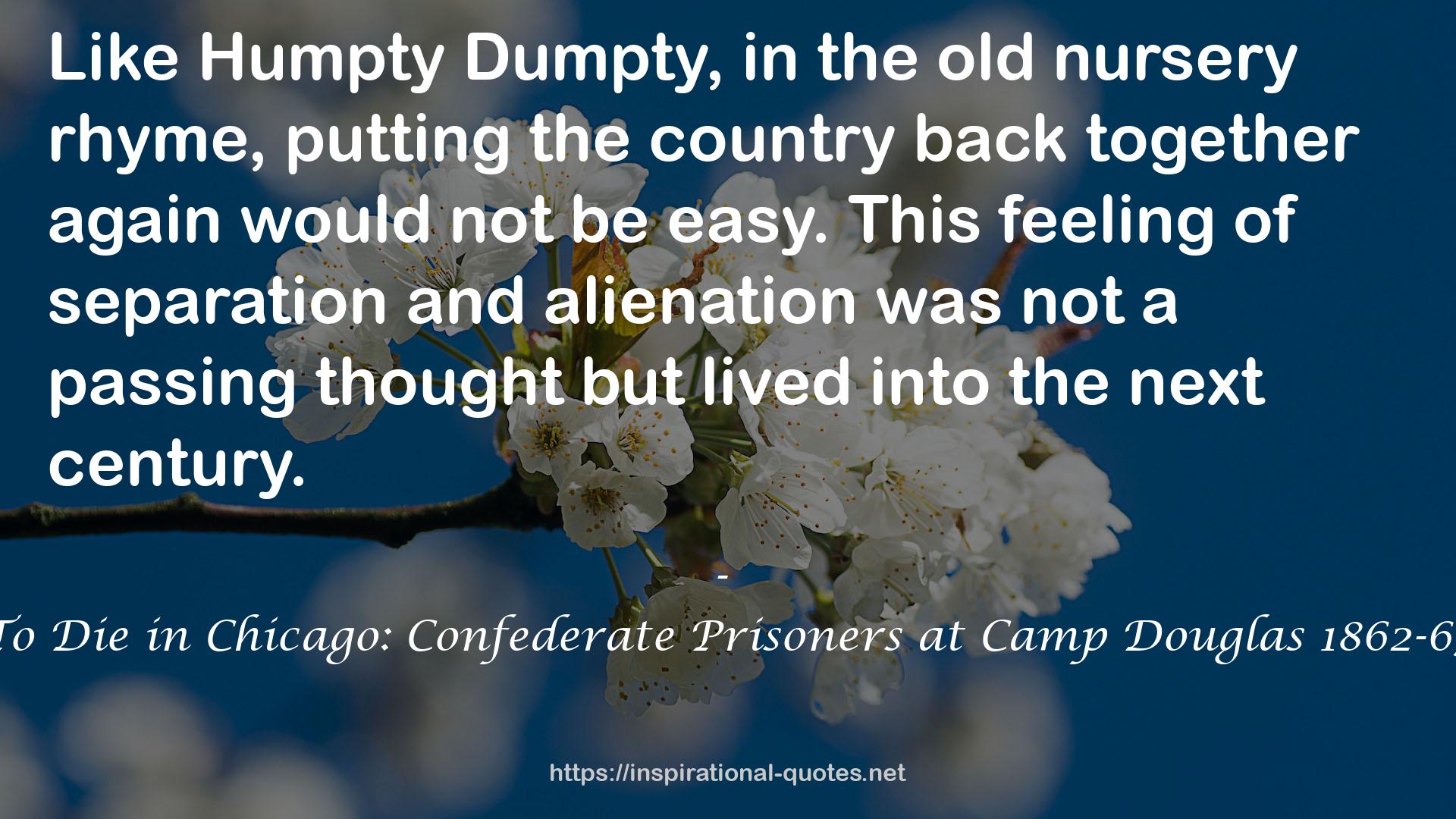 To Die in Chicago: Confederate Prisoners at Camp Douglas 1862-65 QUOTES