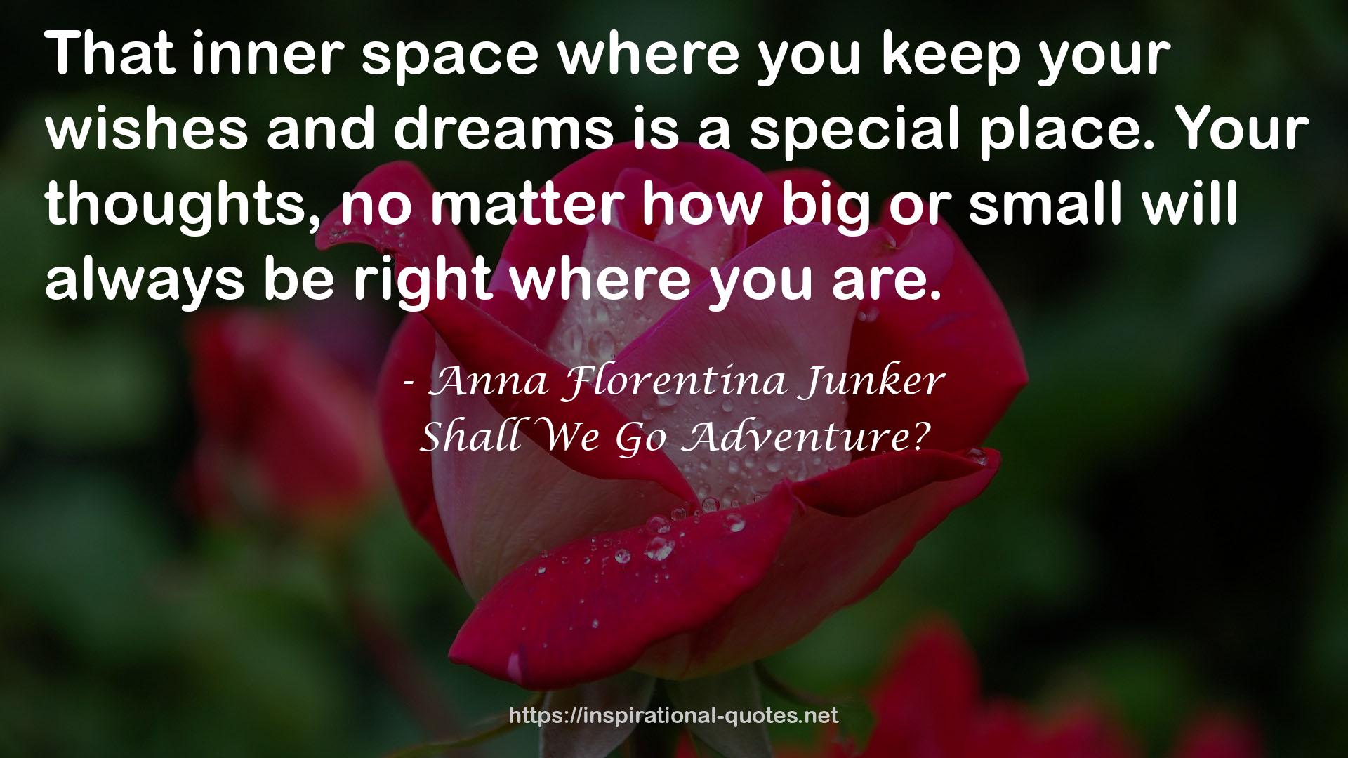 Anna Florentina Junker QUOTES