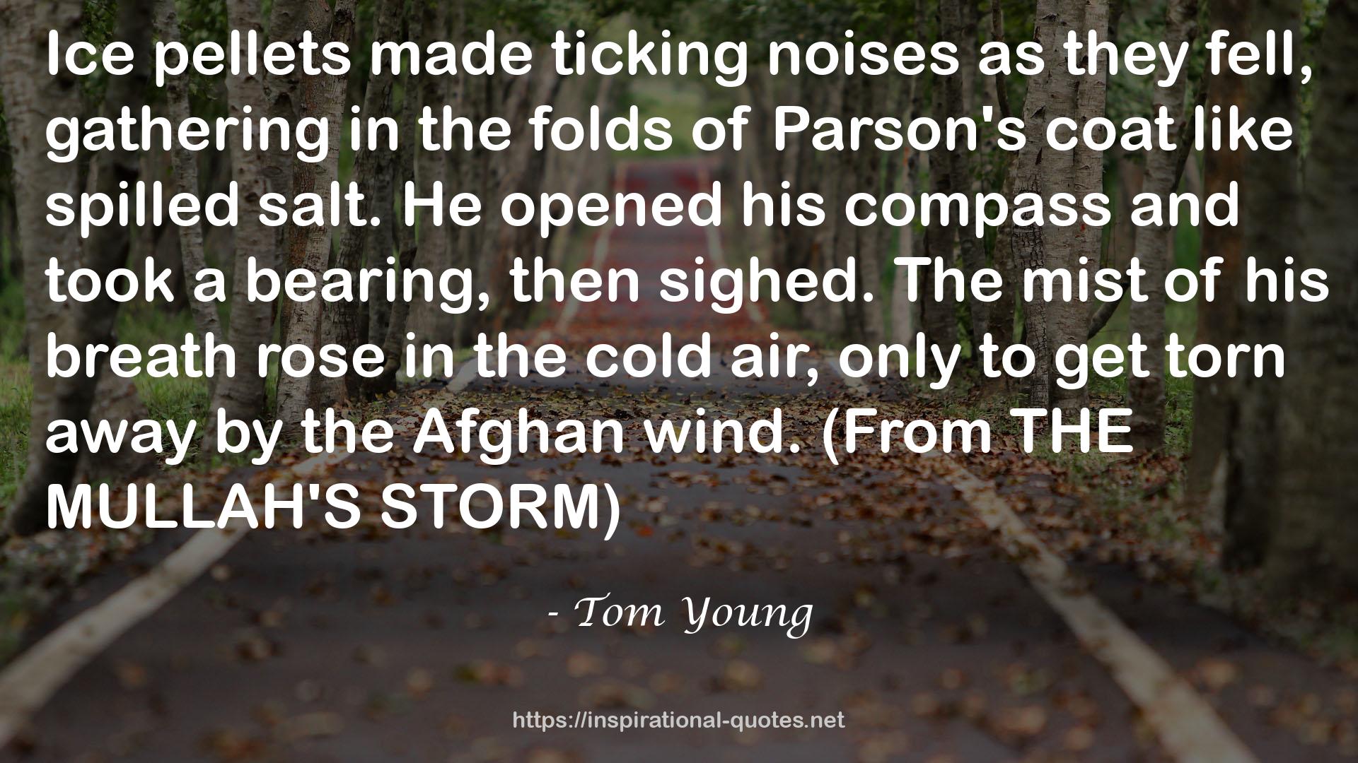 Tom Young QUOTES